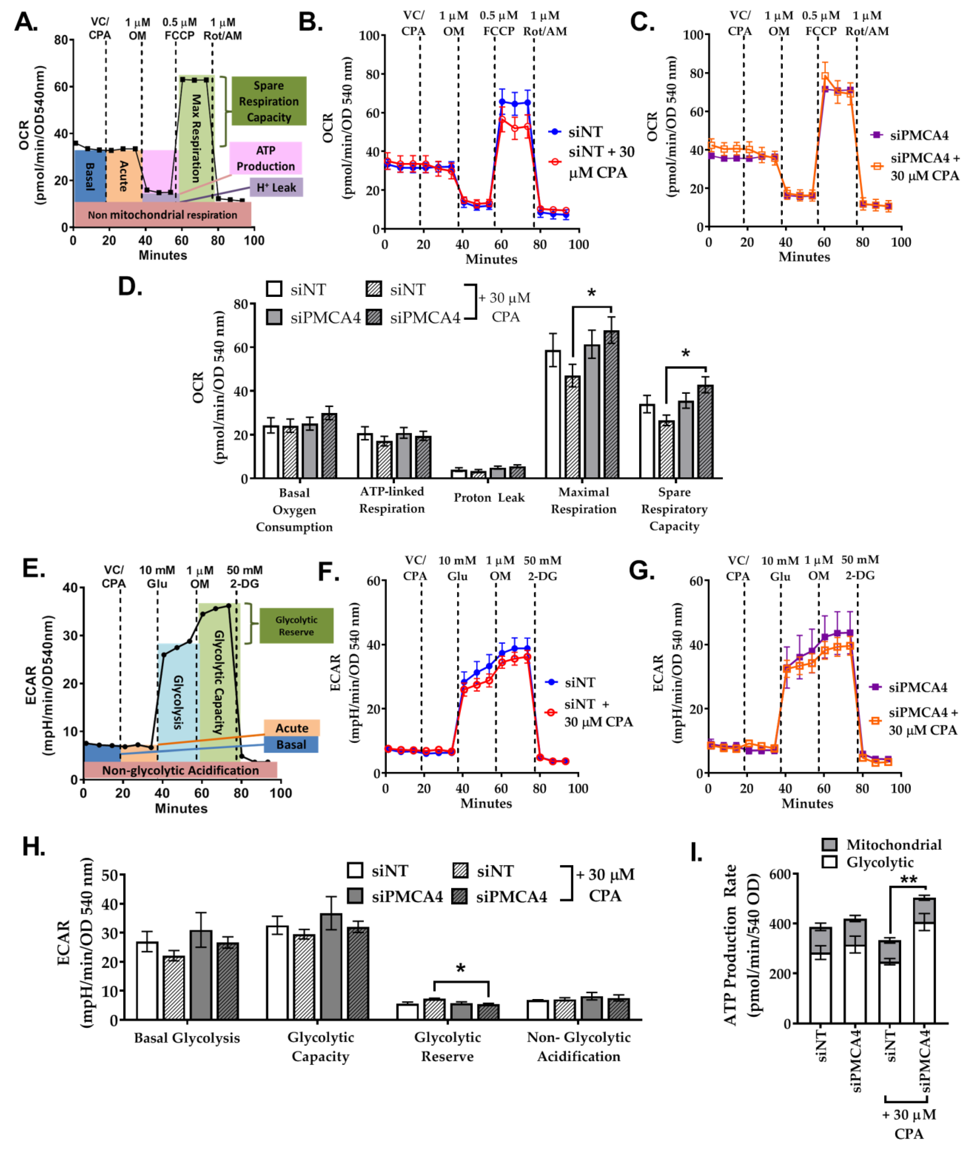 Cancers 12 00218 g007