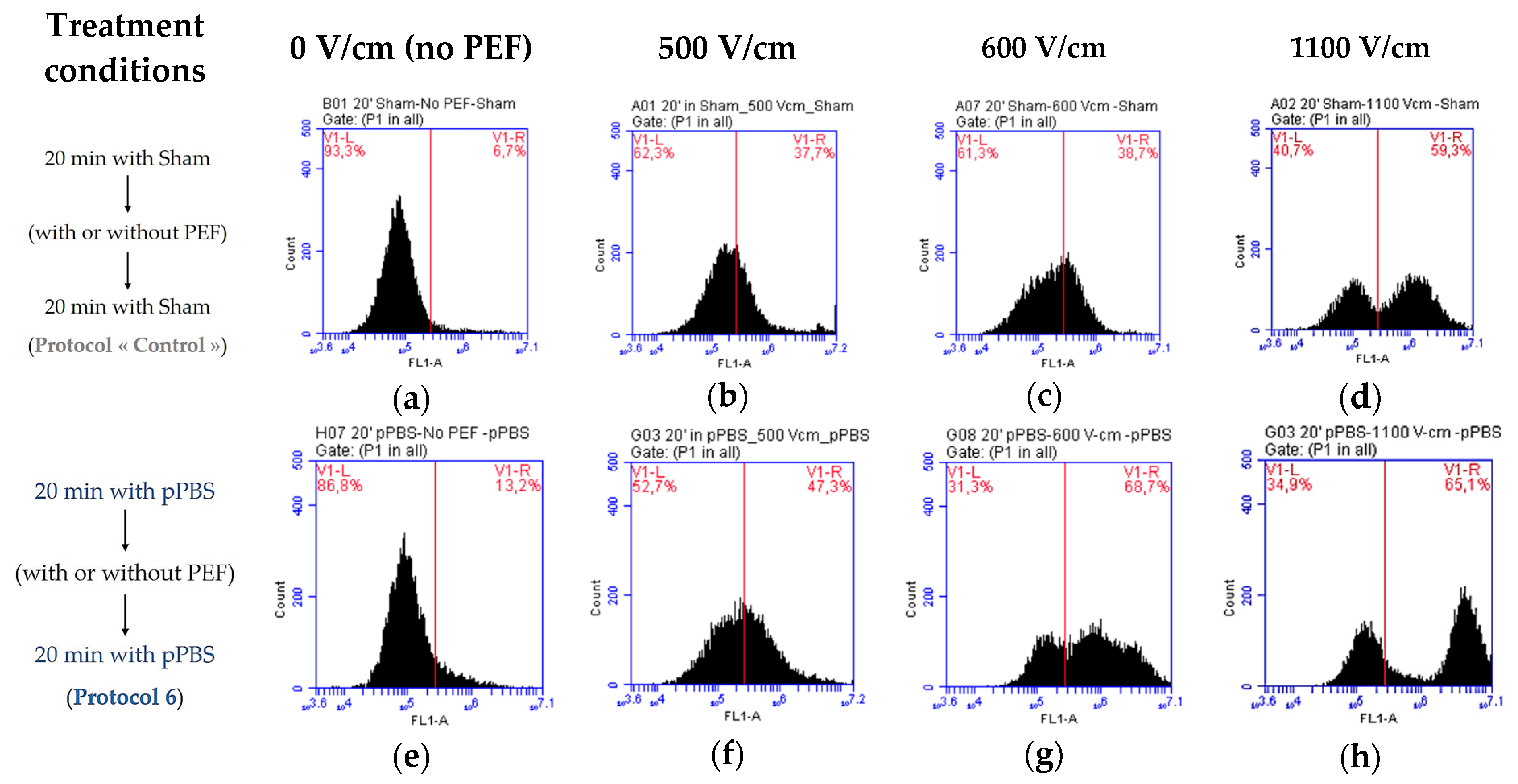 Cancers 12 00219 g008