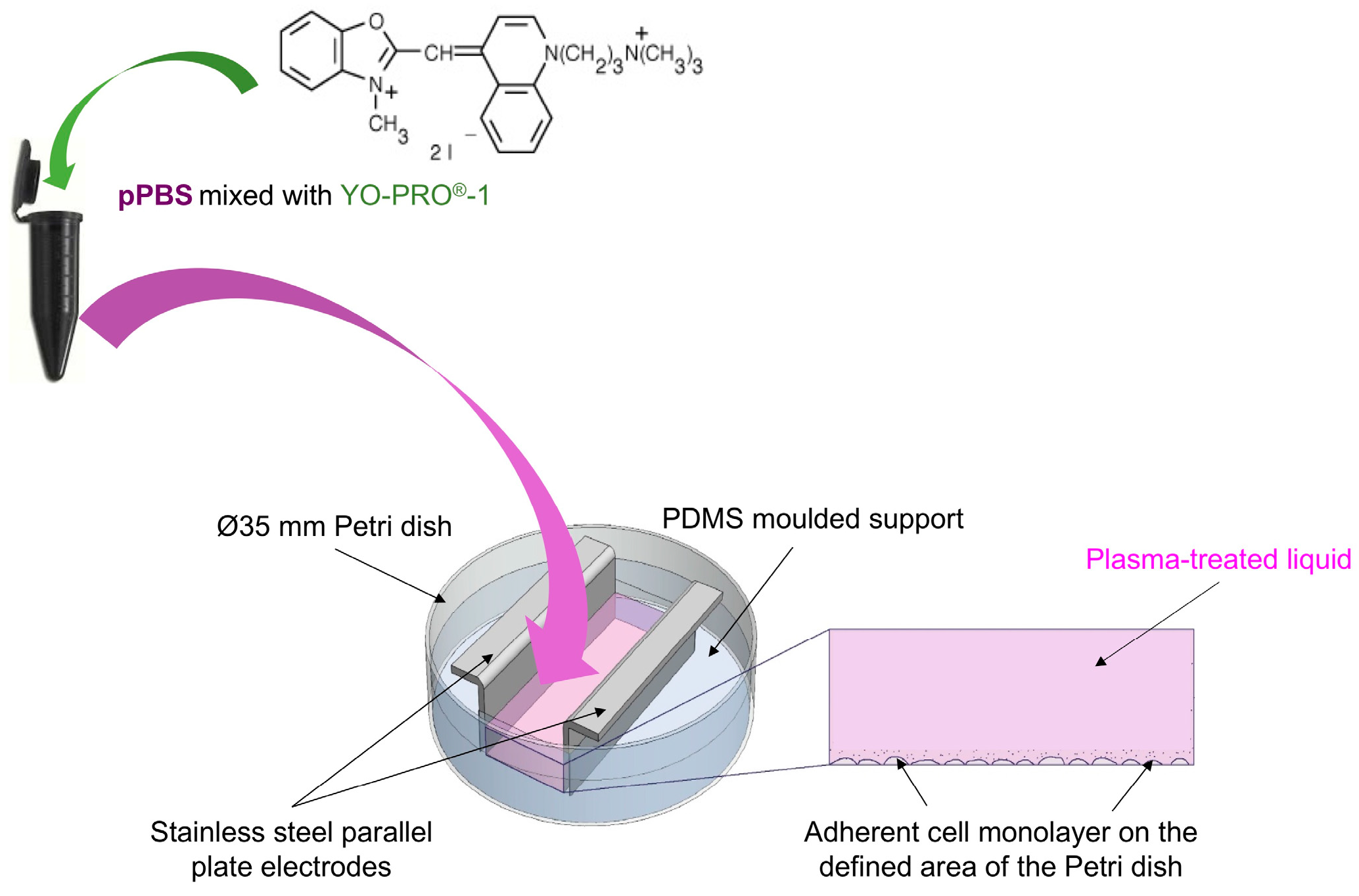 Cancers 12 00219 g010
