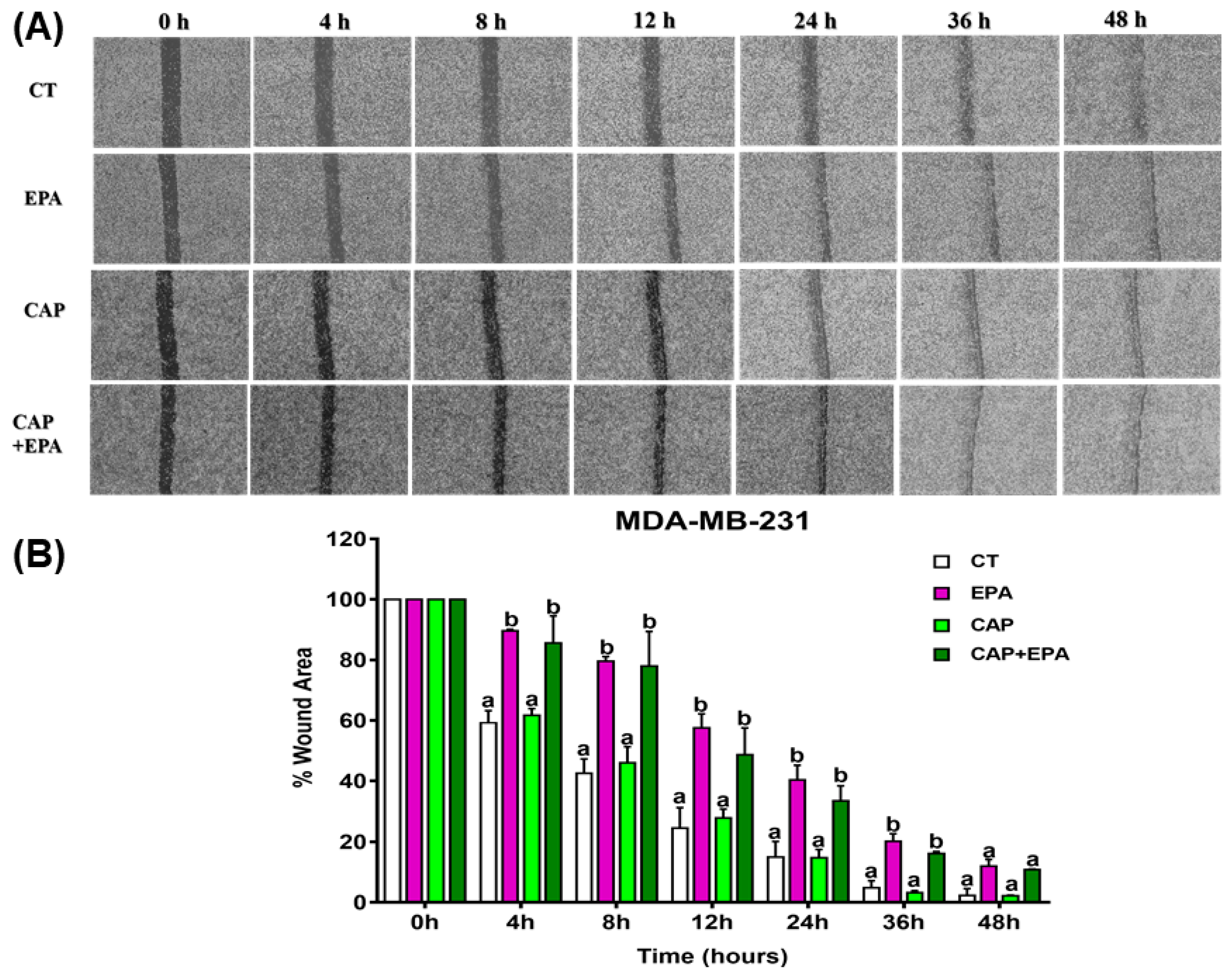 Cancers 12 00220 g004 Cancers 12 00220 g004
