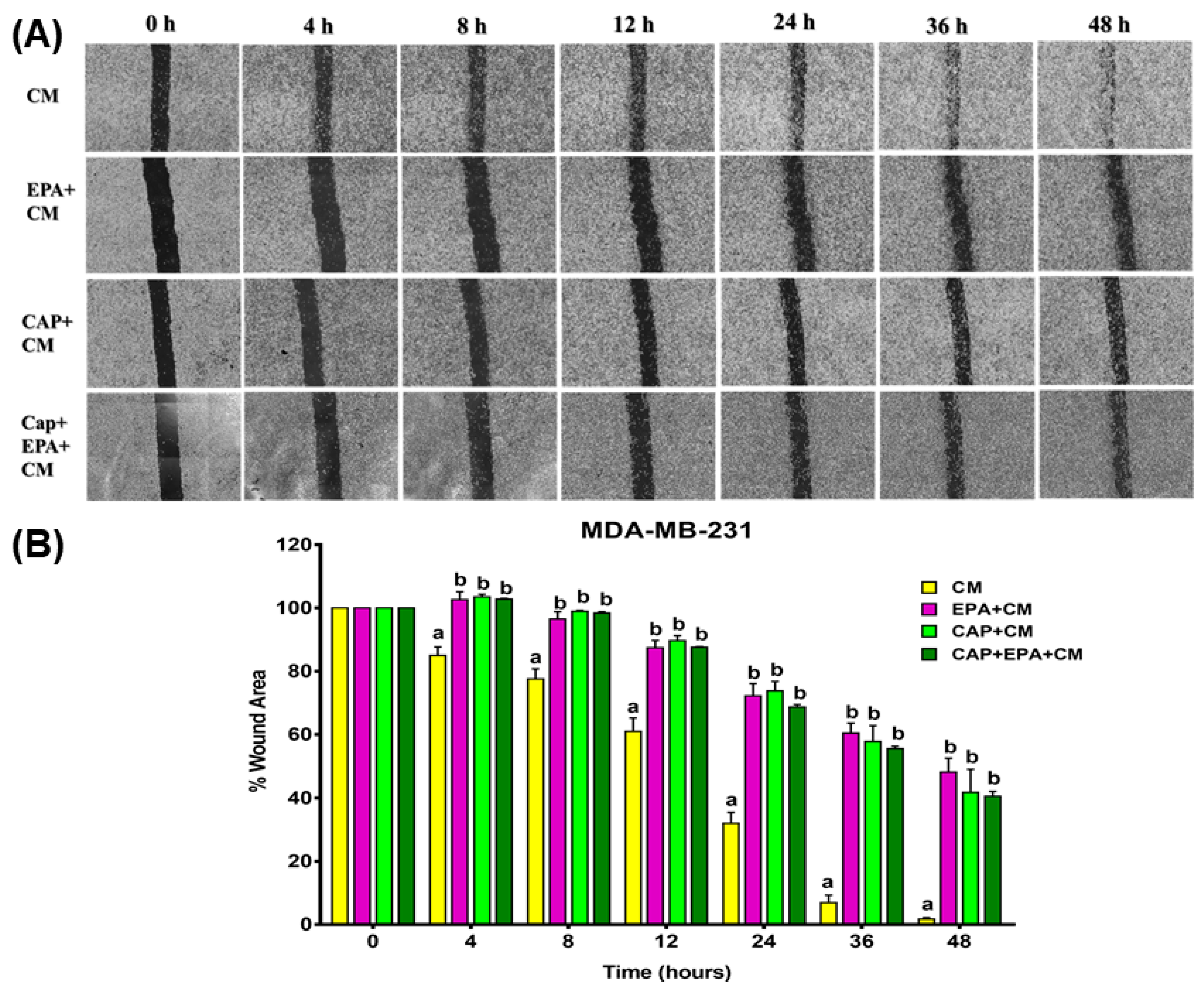 Cancers 12 00220 g005 Cancers 12 00220 g005