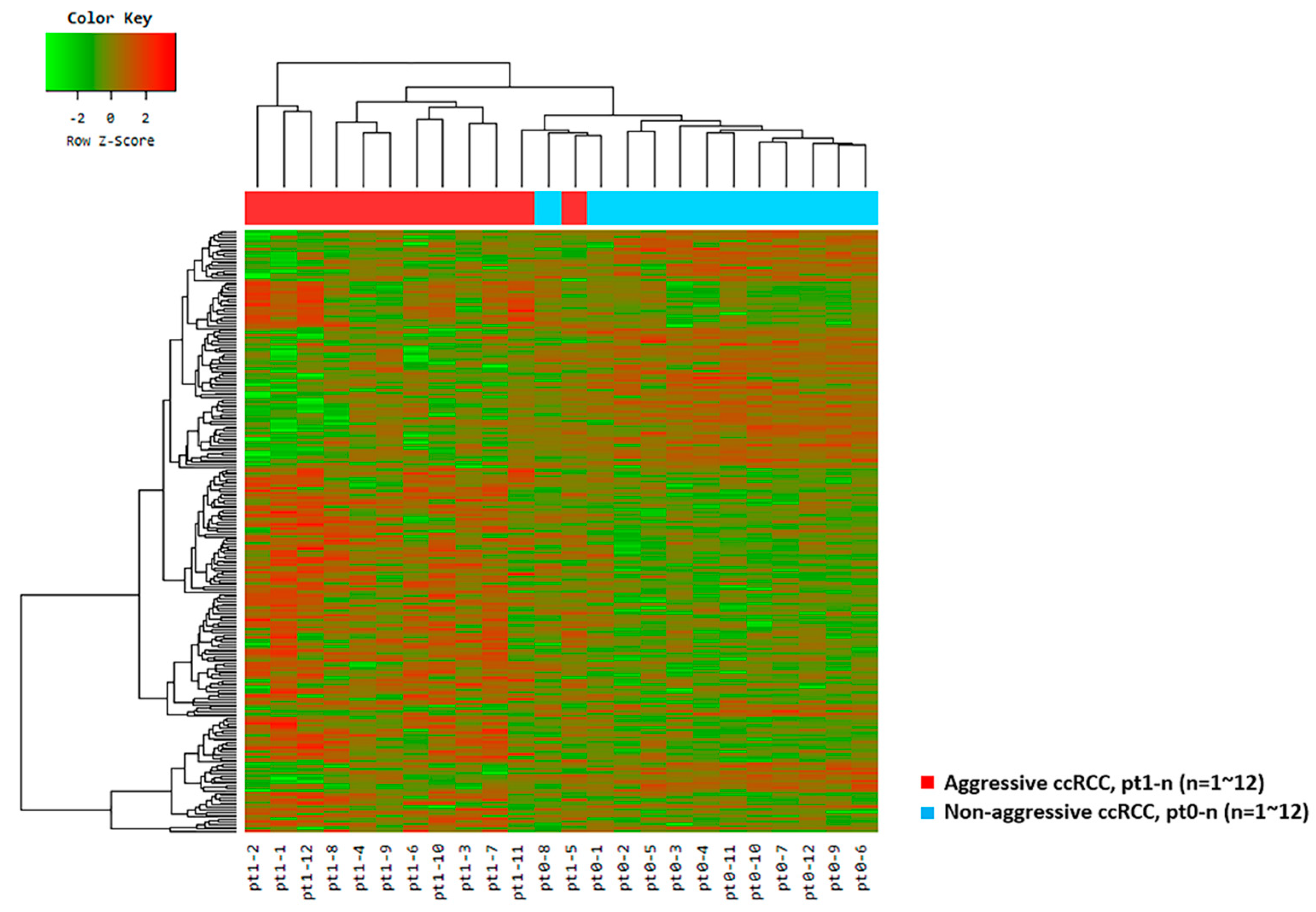 Cancers 12 00222 g001 Cancers 12 00222 g001