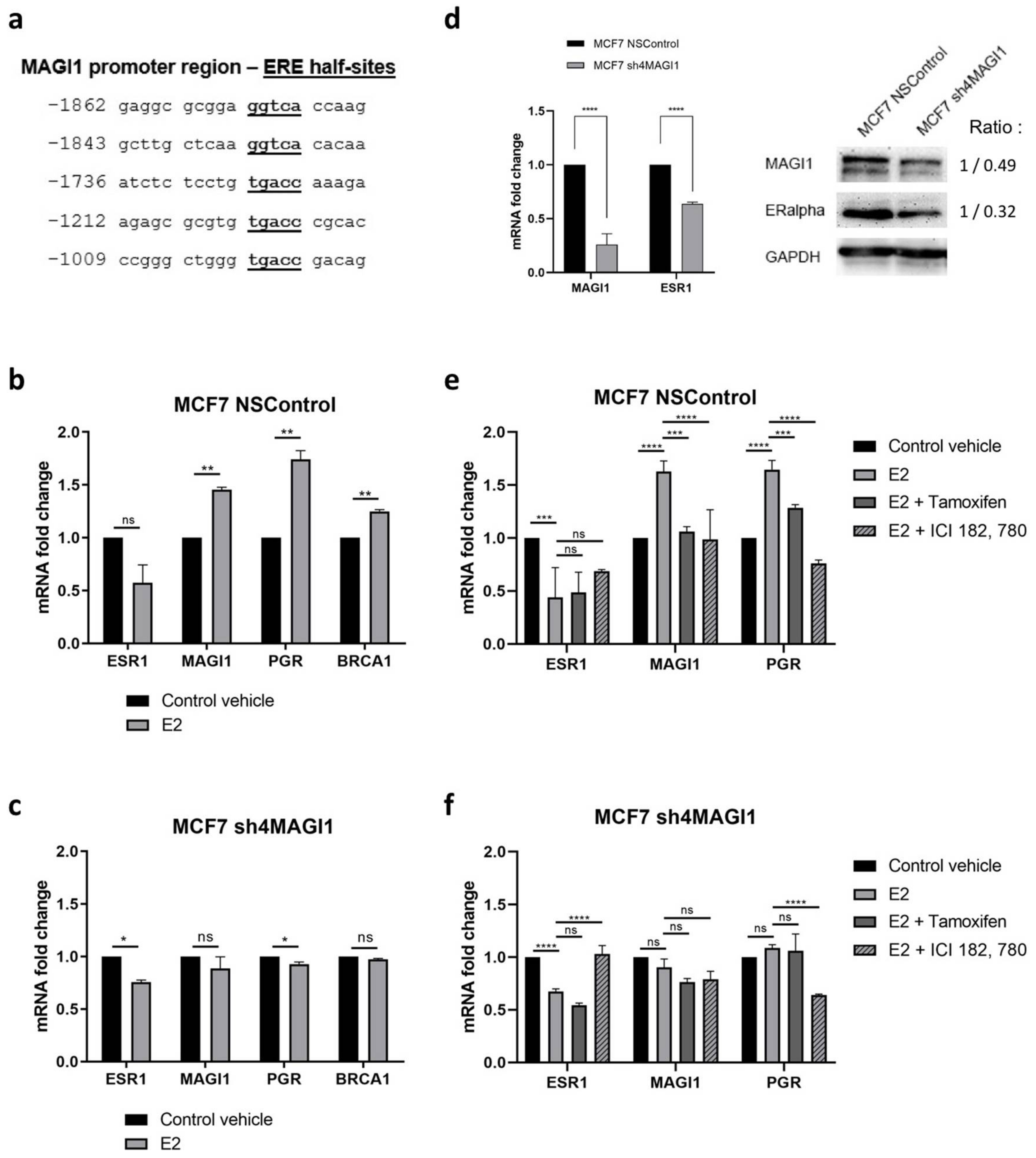 Cancers 12 00223 g002