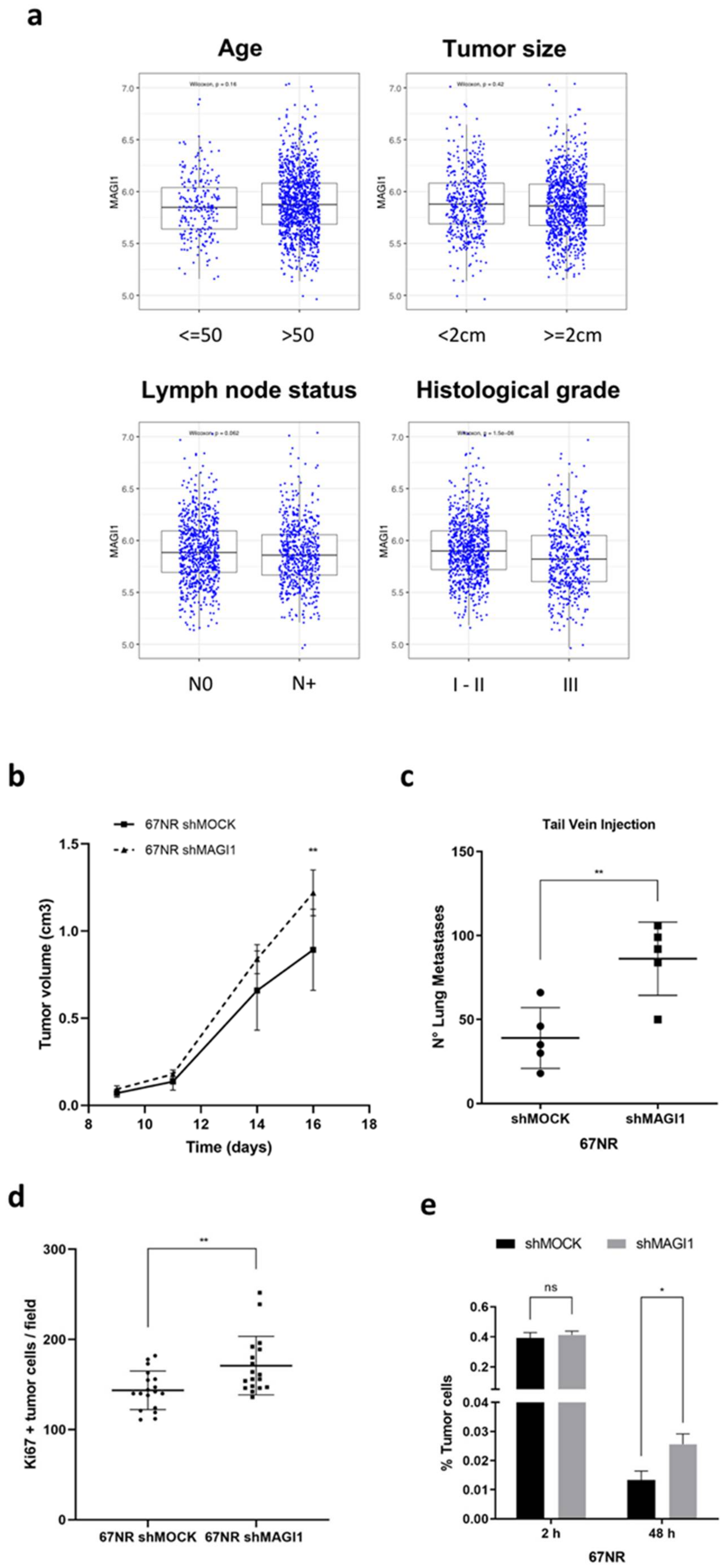 Cancers 12 00223 g006