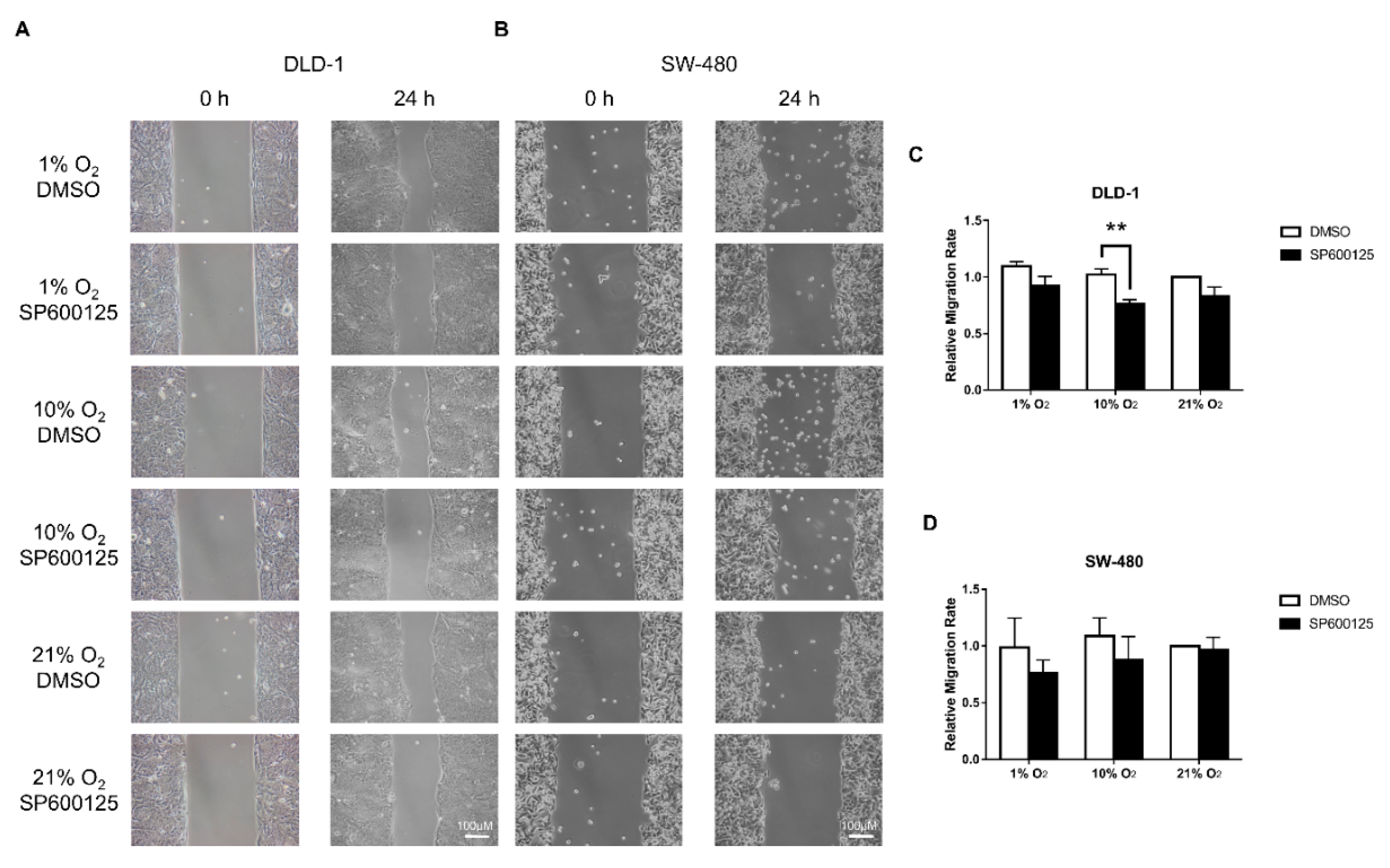 Cancers 12 00224 g002