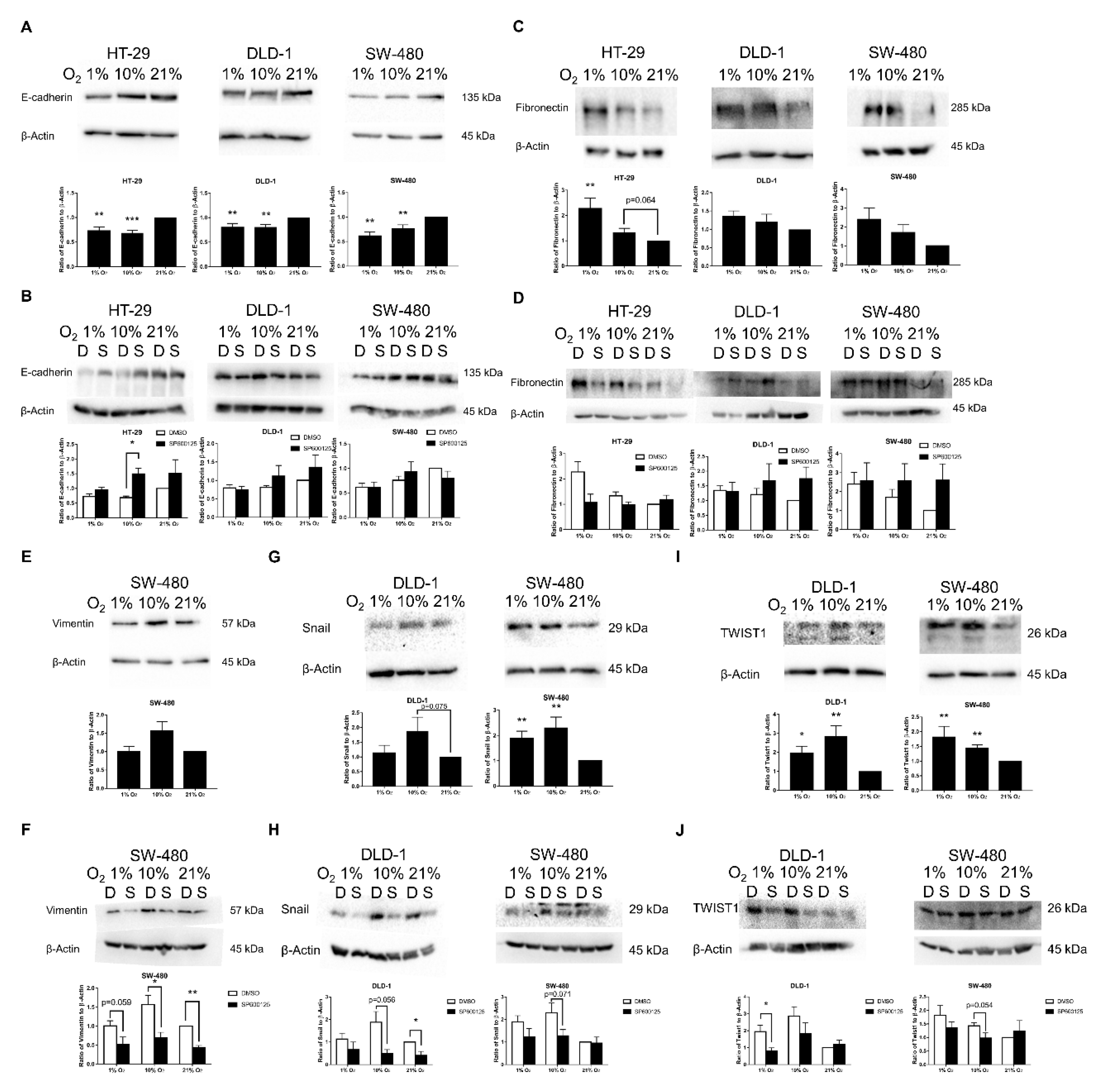 Cancers 12 00224 g004