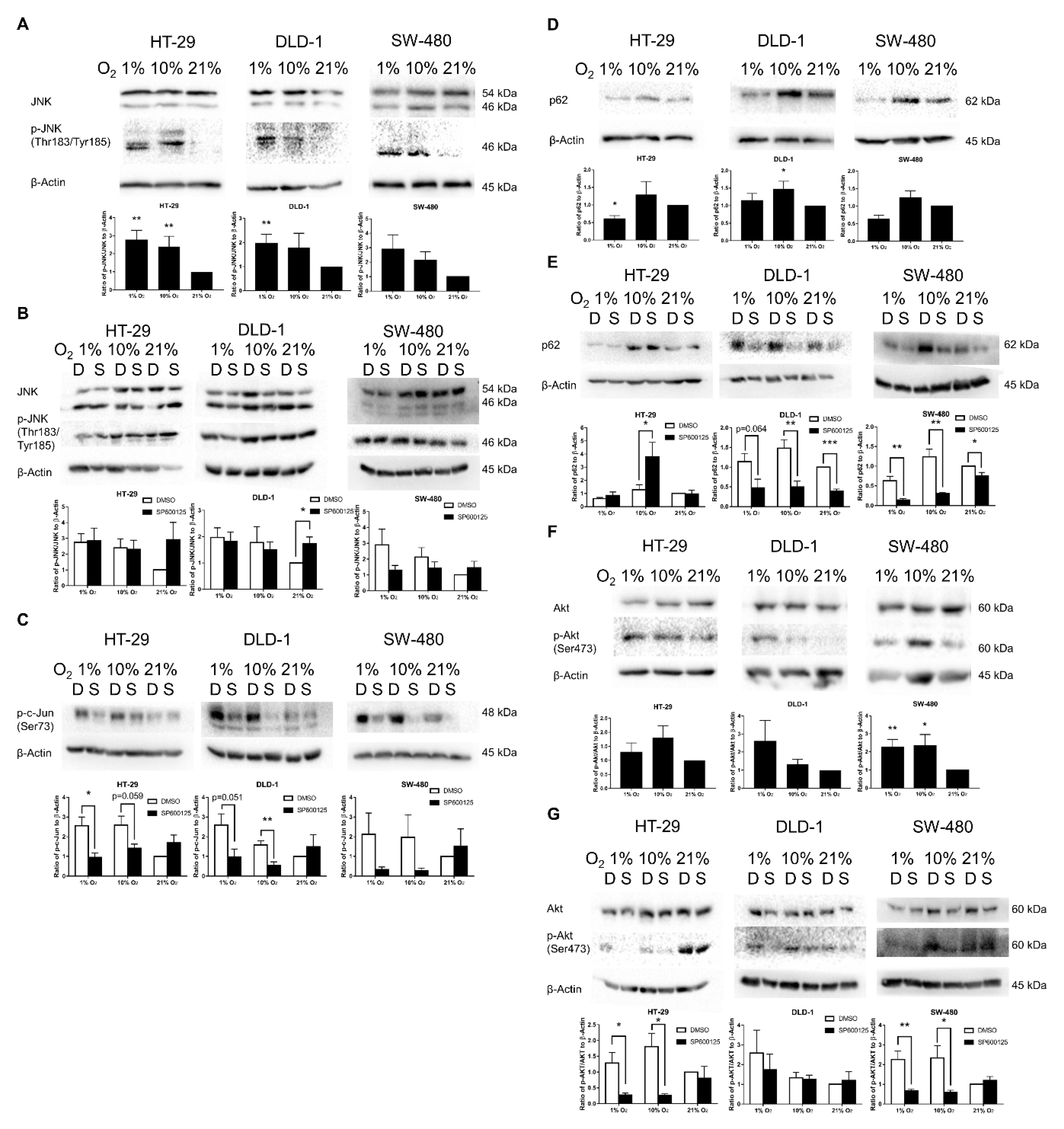 Cancers 12 00224 g005
