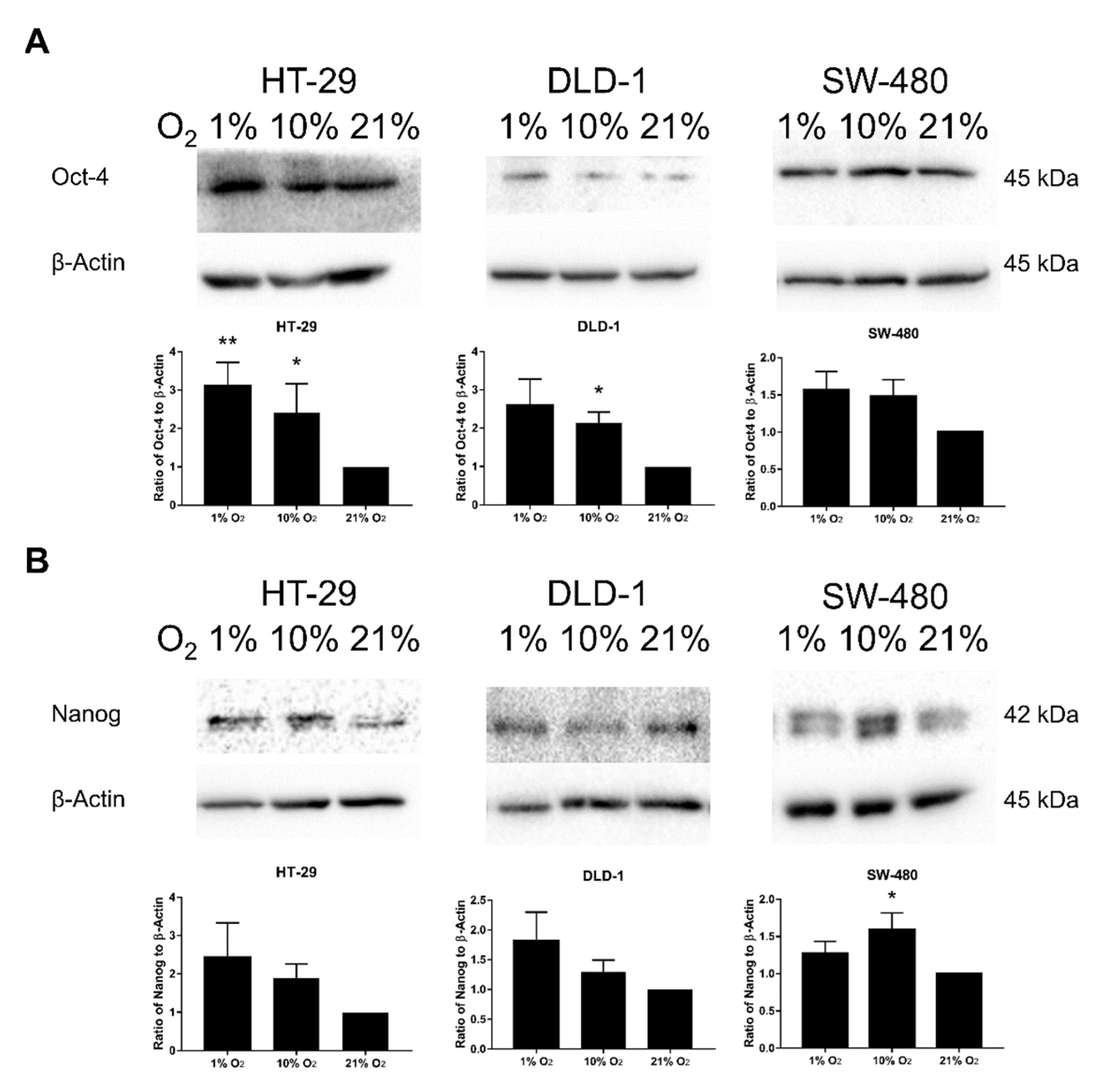 Cancers 12 00224 g006a