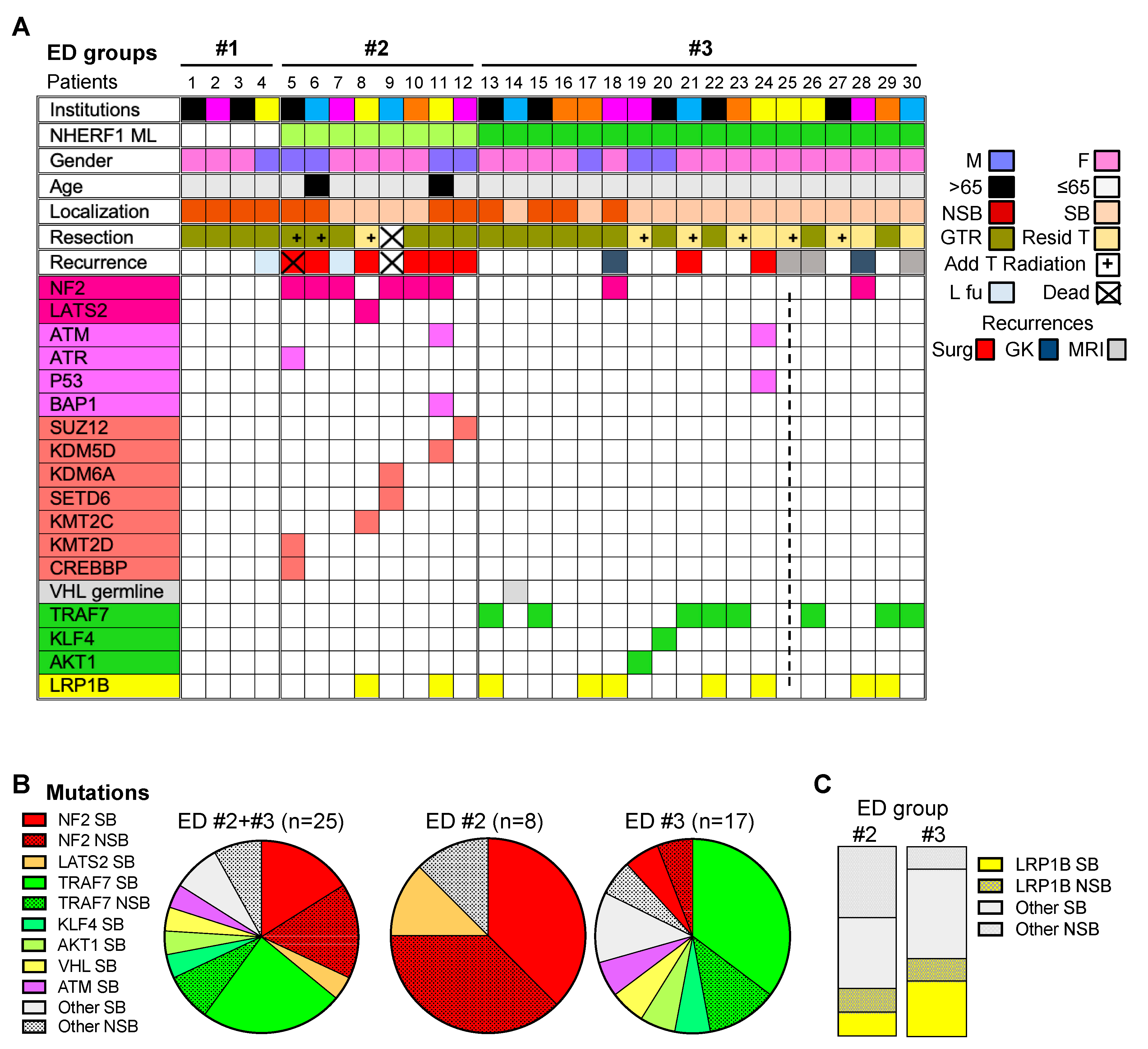 Cancers 12 00225 g002 Cancers 12 00225 g002