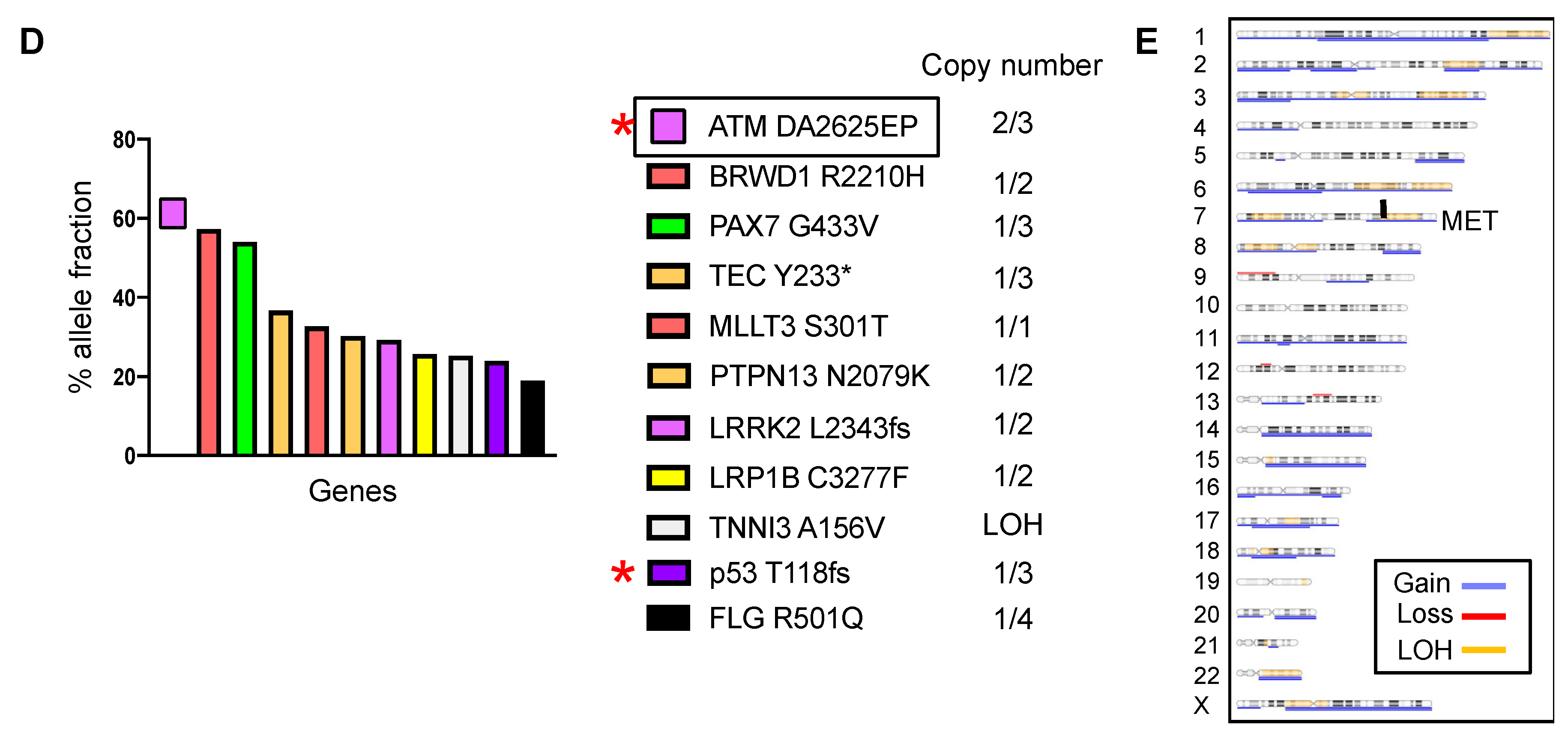 Cancers 12 00225 g004b Cancers 12 00225 g004b