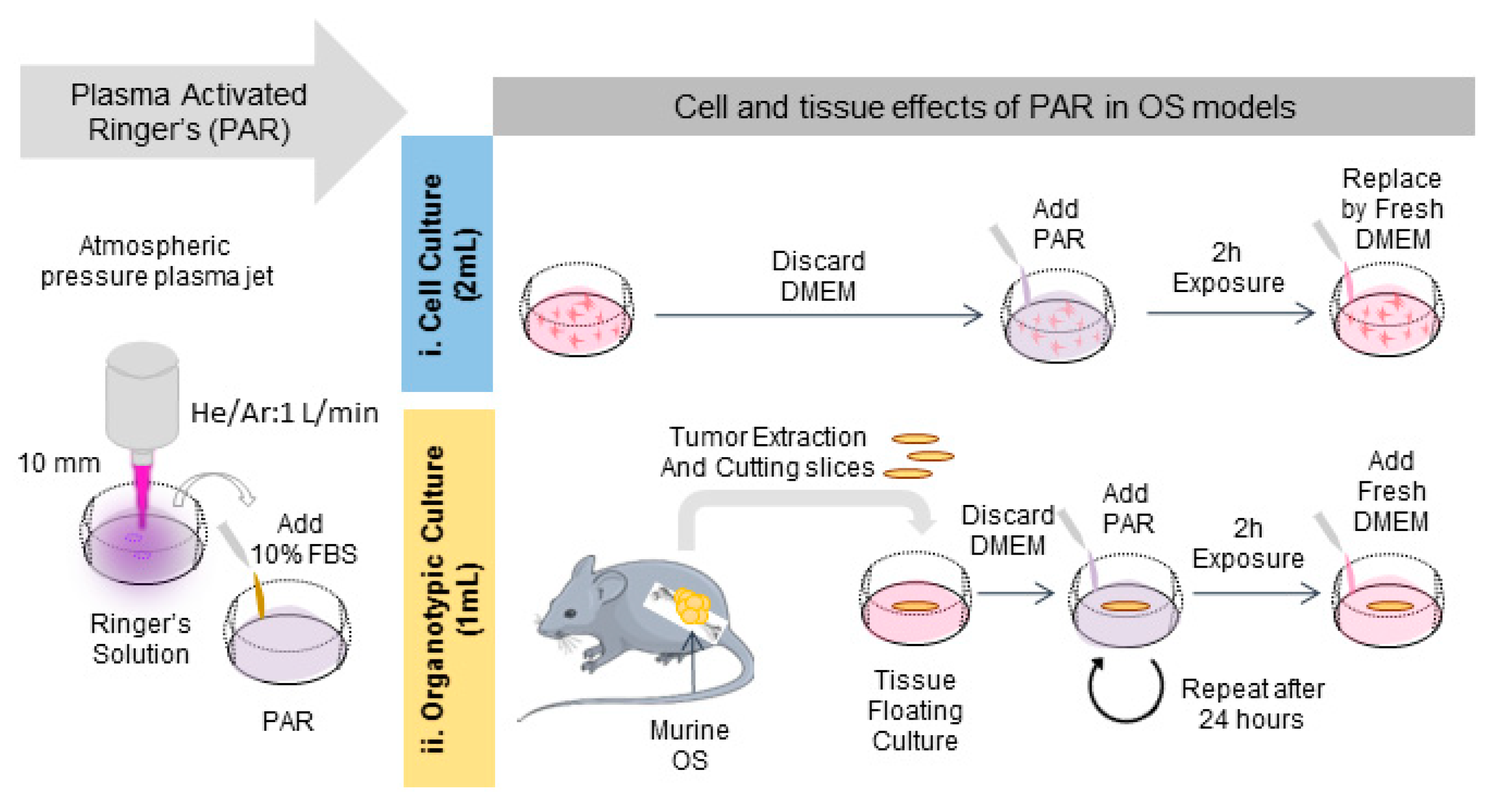Cancers 12 00227 g004 Cancers 12 00227 g004