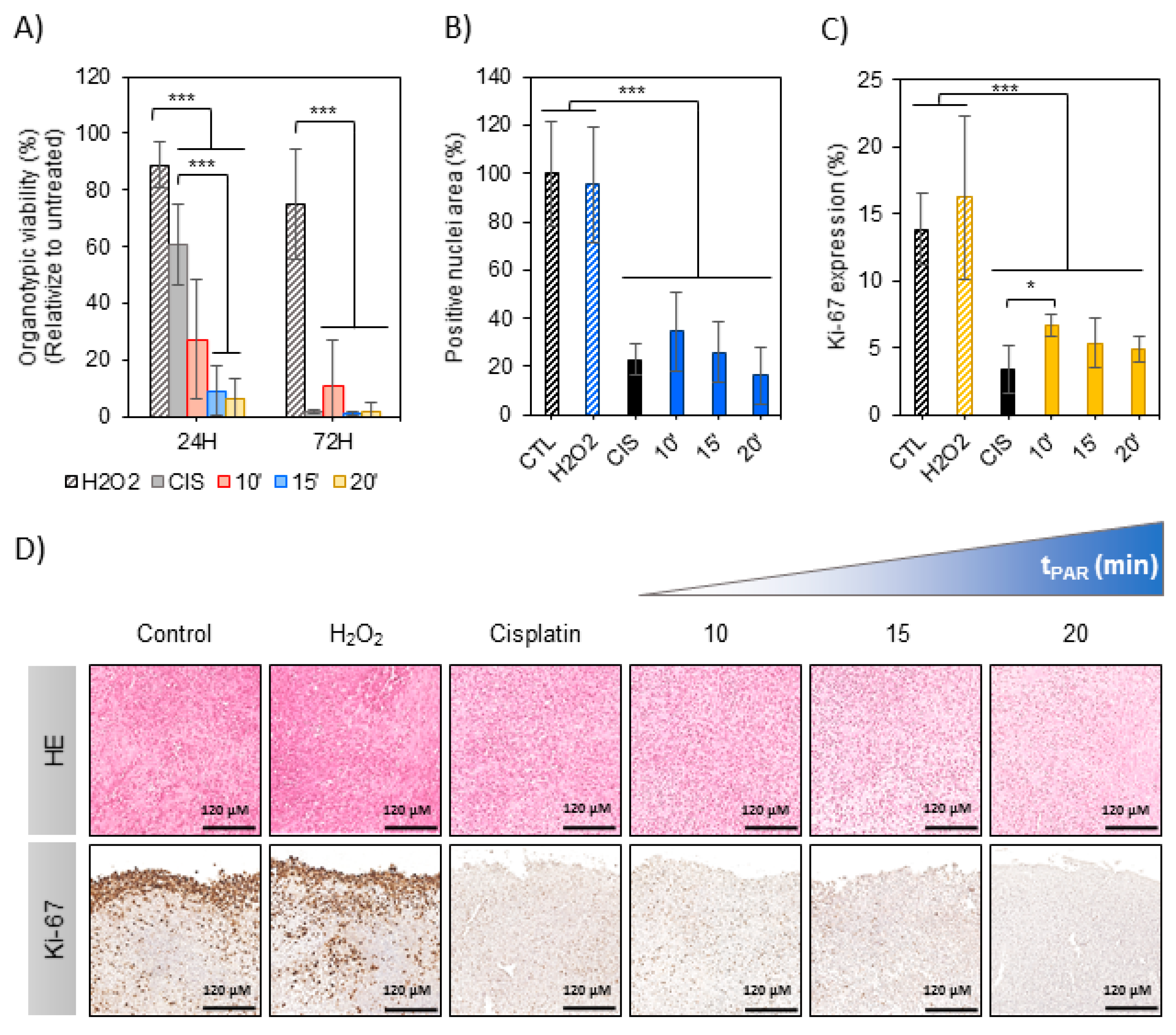 Cancers 12 00227 g005 Cancers 12 00227 g005