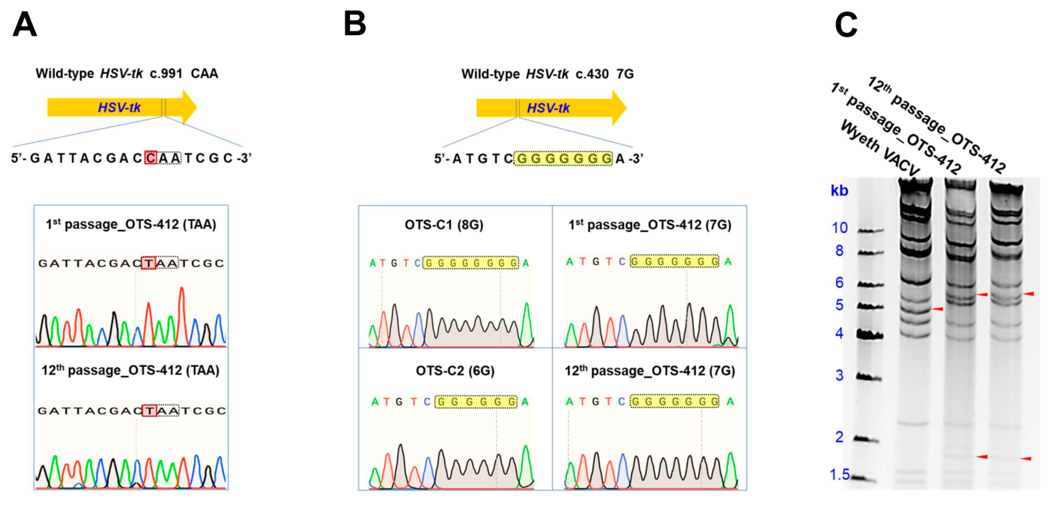 Cancers 12 00228 g002