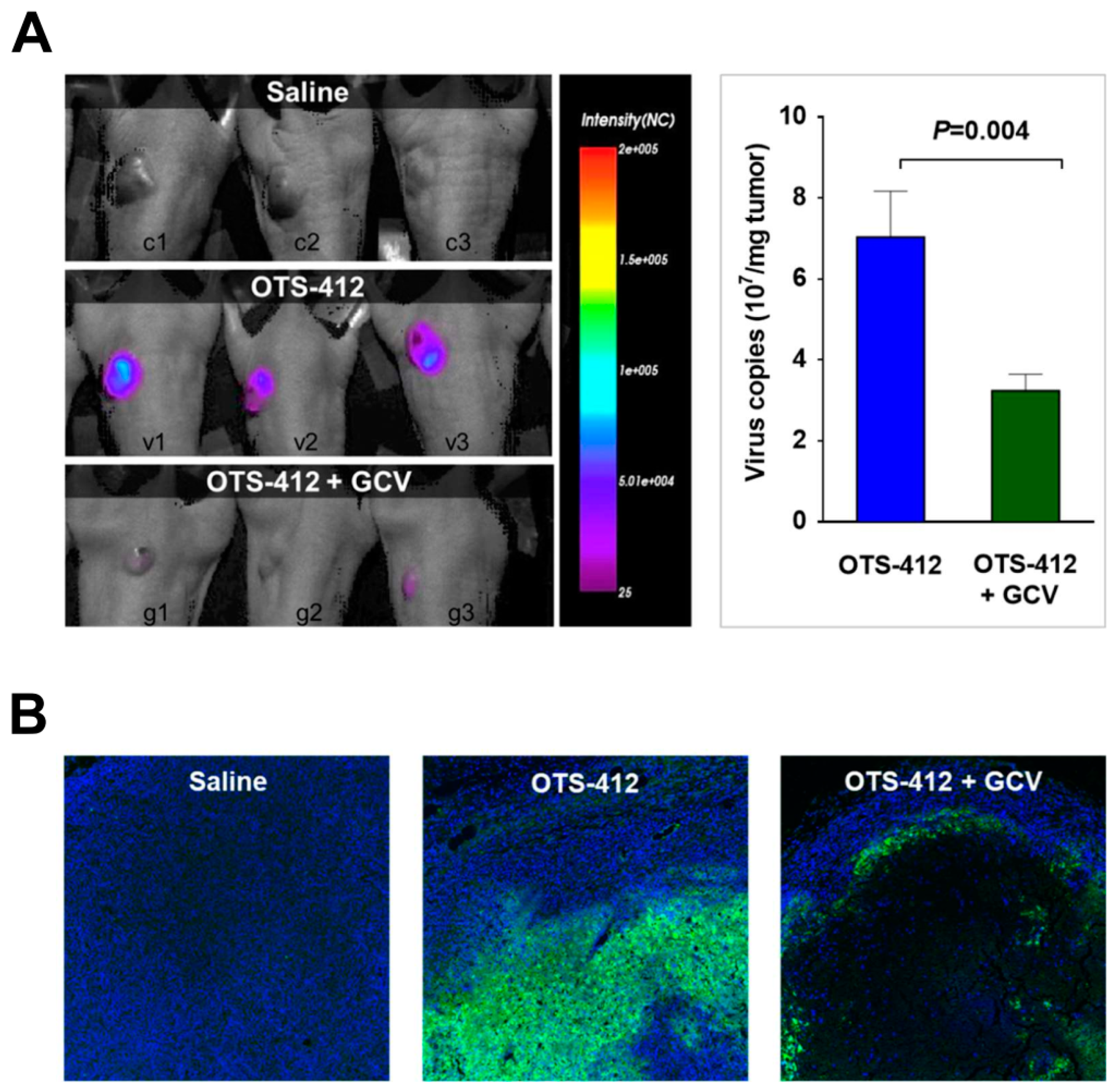 Cancers 12 00228 g005