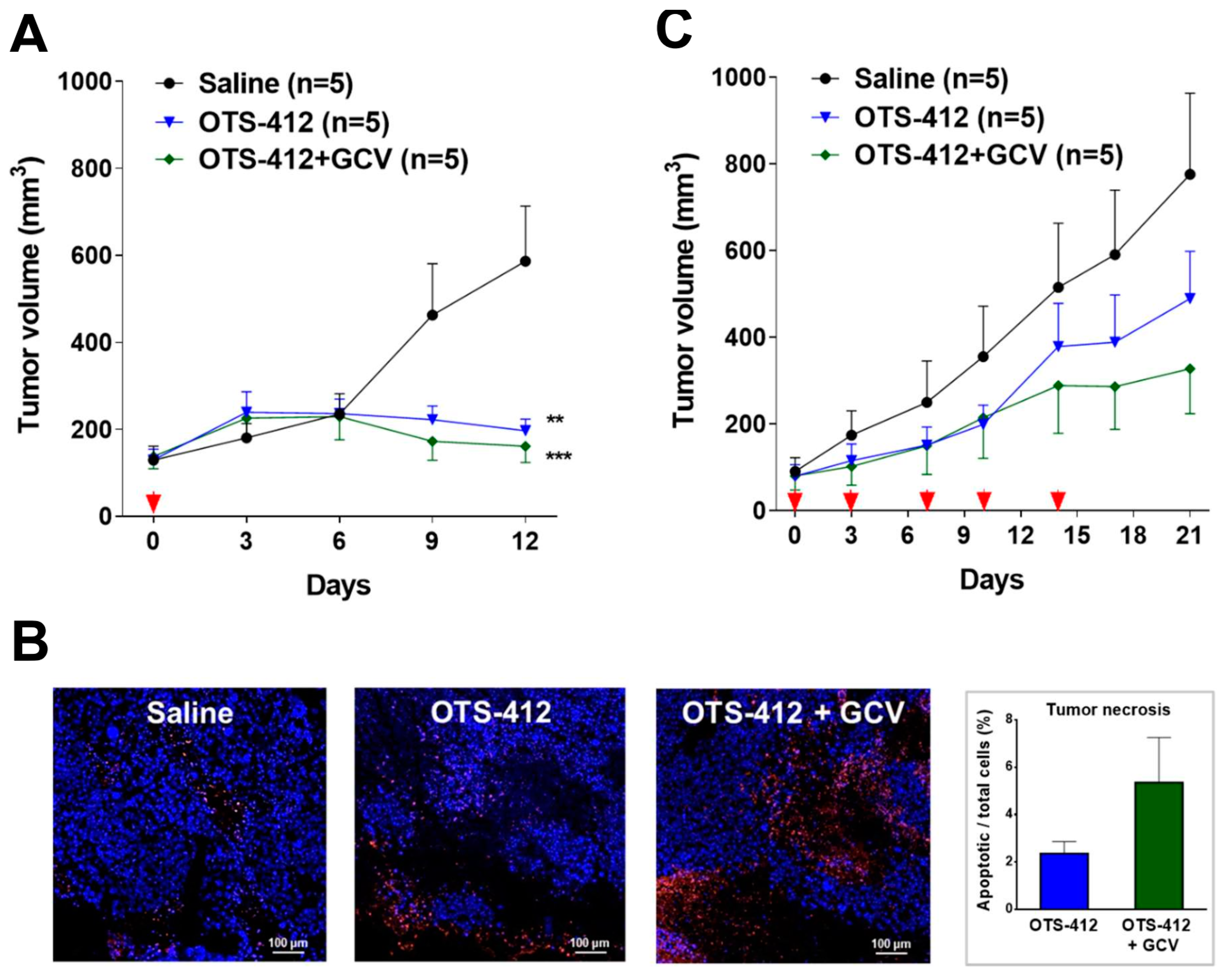 Cancers 12 00228 g007