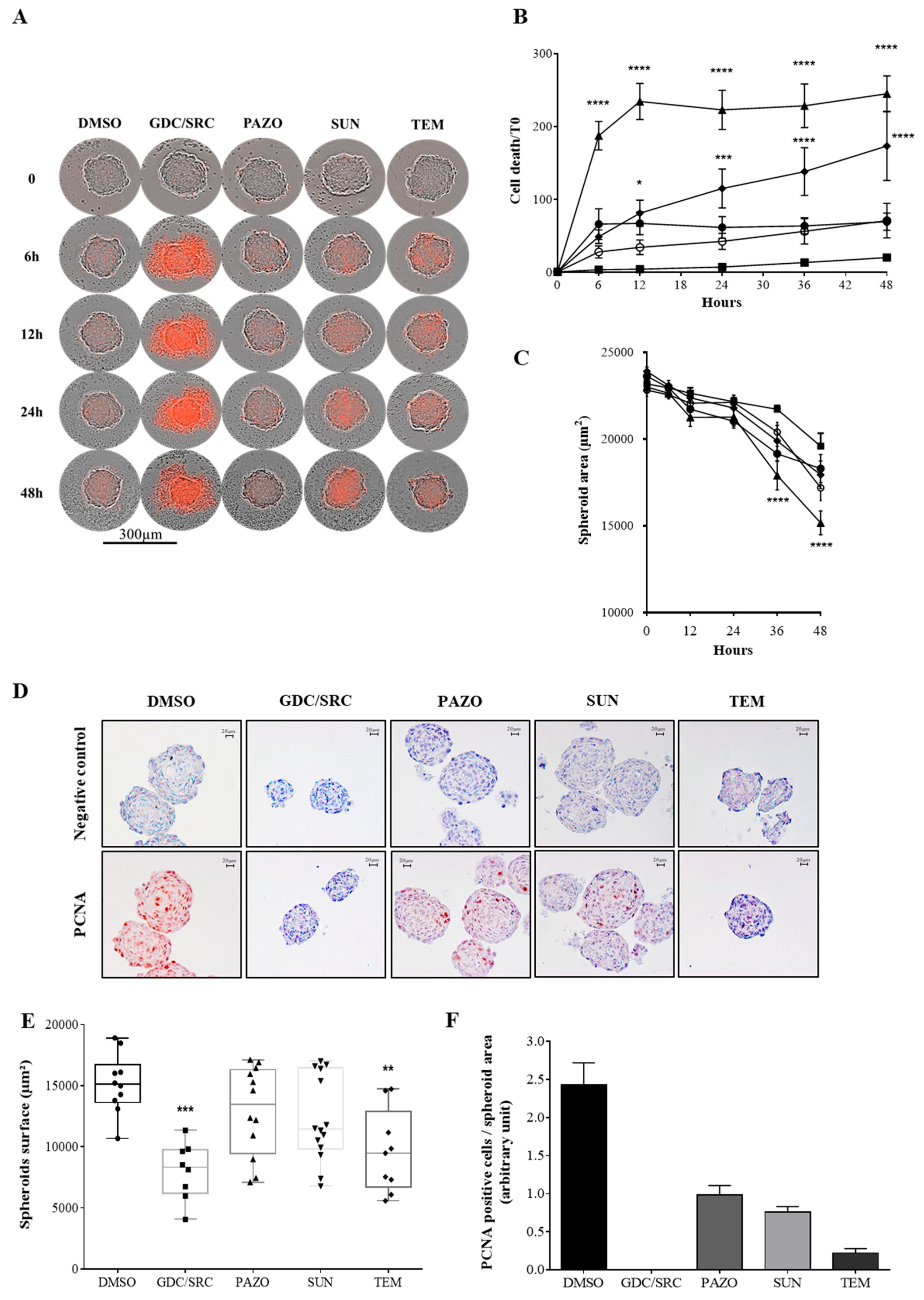 Cancers 12 00232 g001