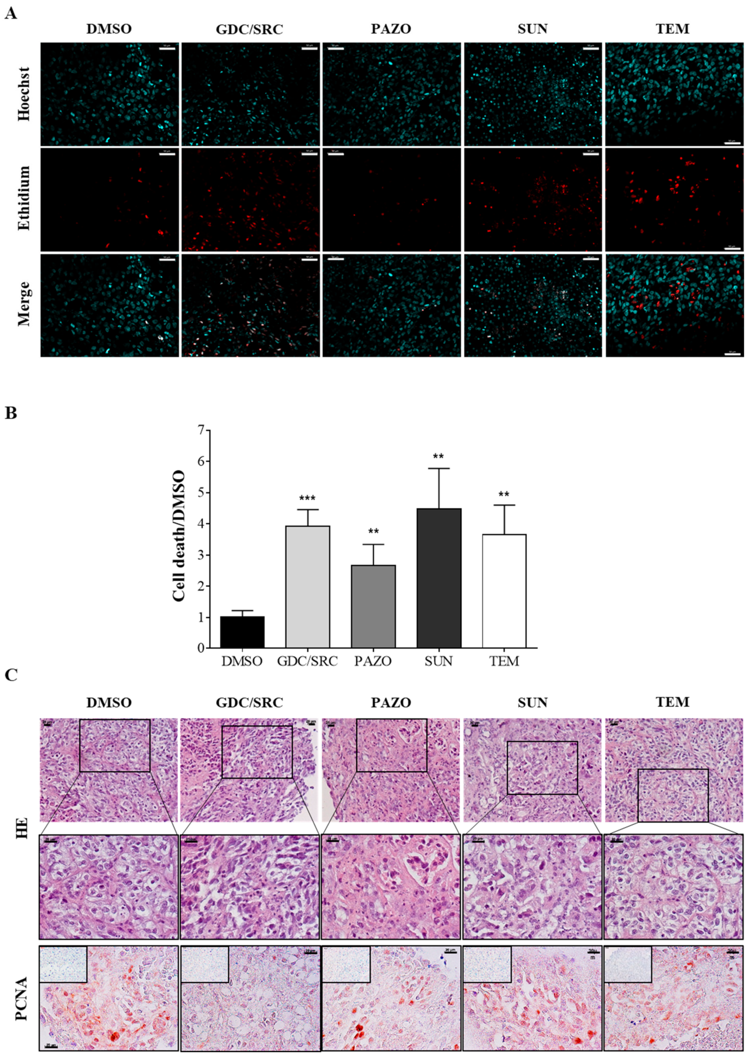 Cancers 12 00232 g003