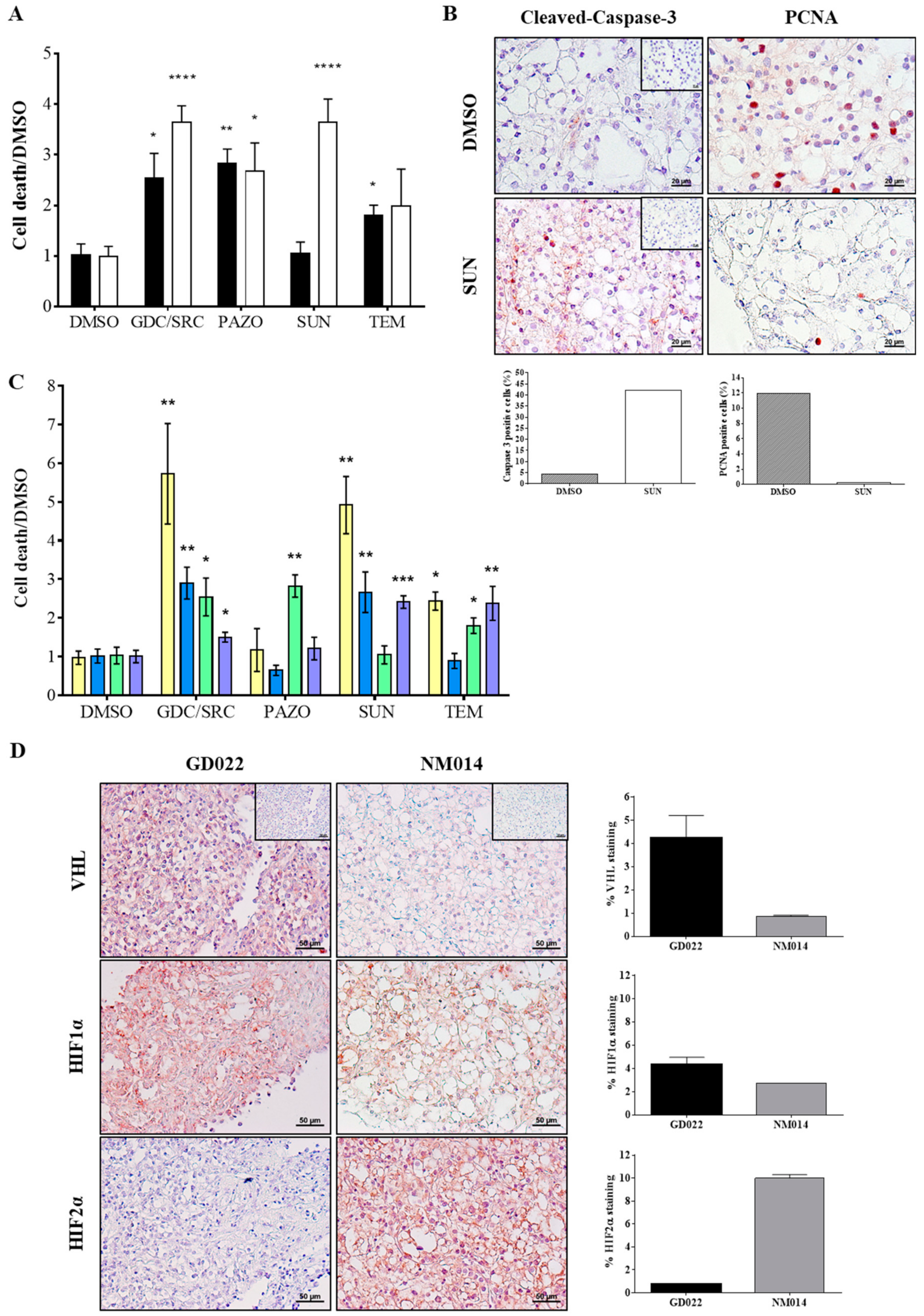 Cancers 12 00232 g004