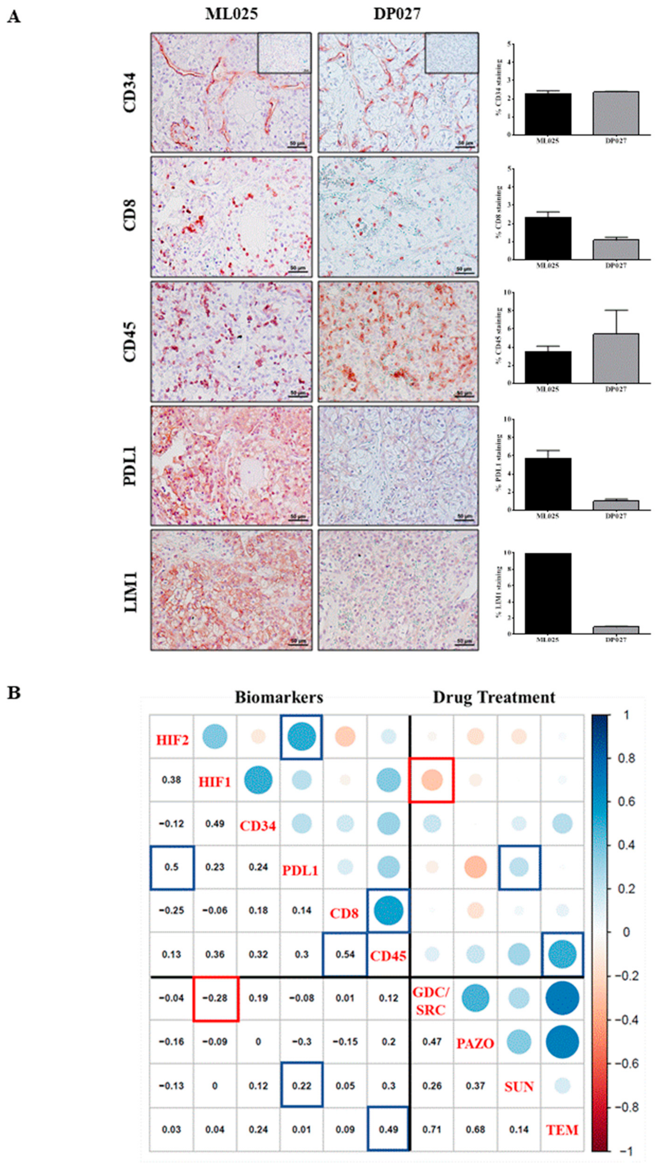Cancers 12 00232 g005
