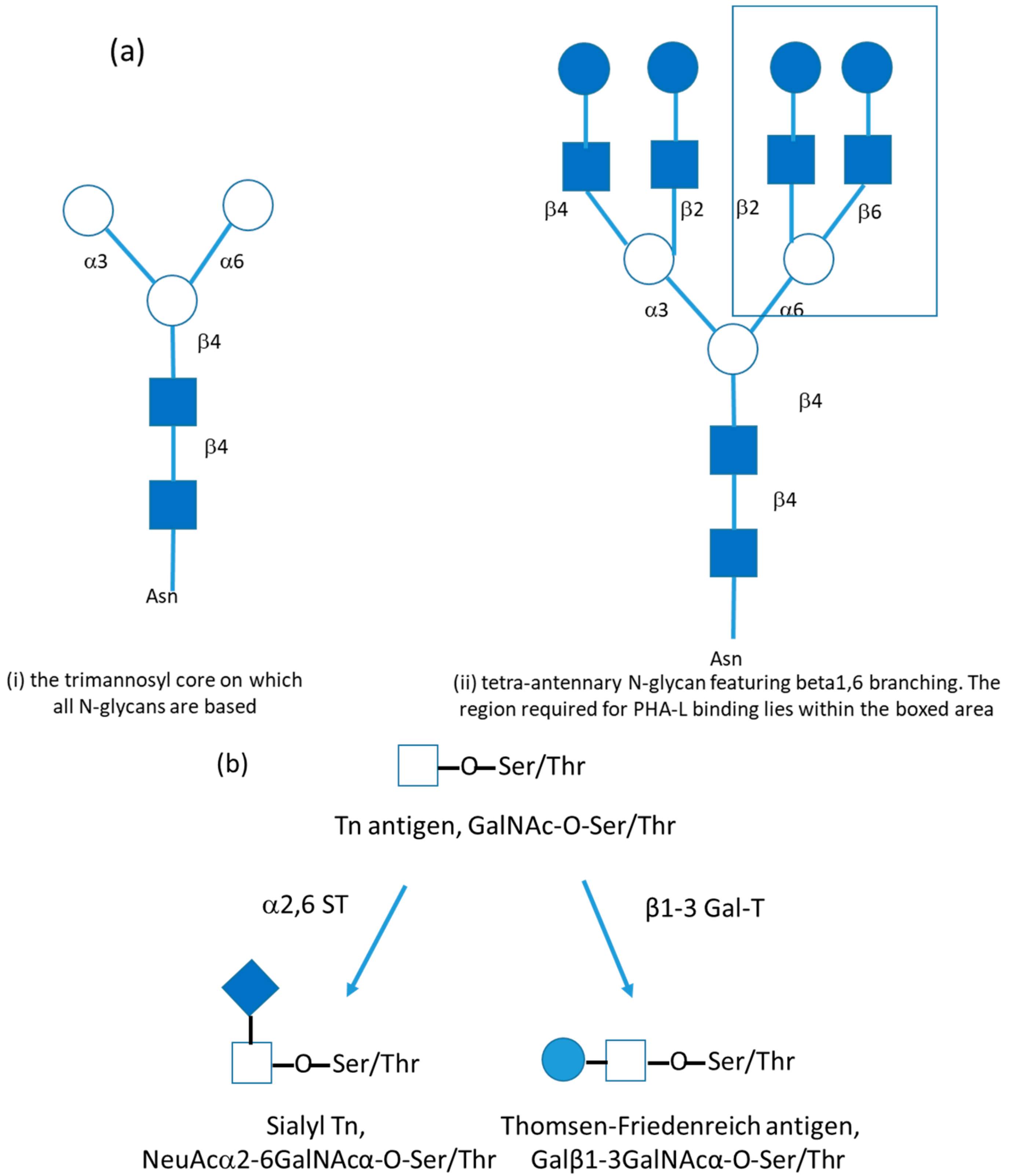 Cancers 12 00236 g002 Cancers 12 00236 g002