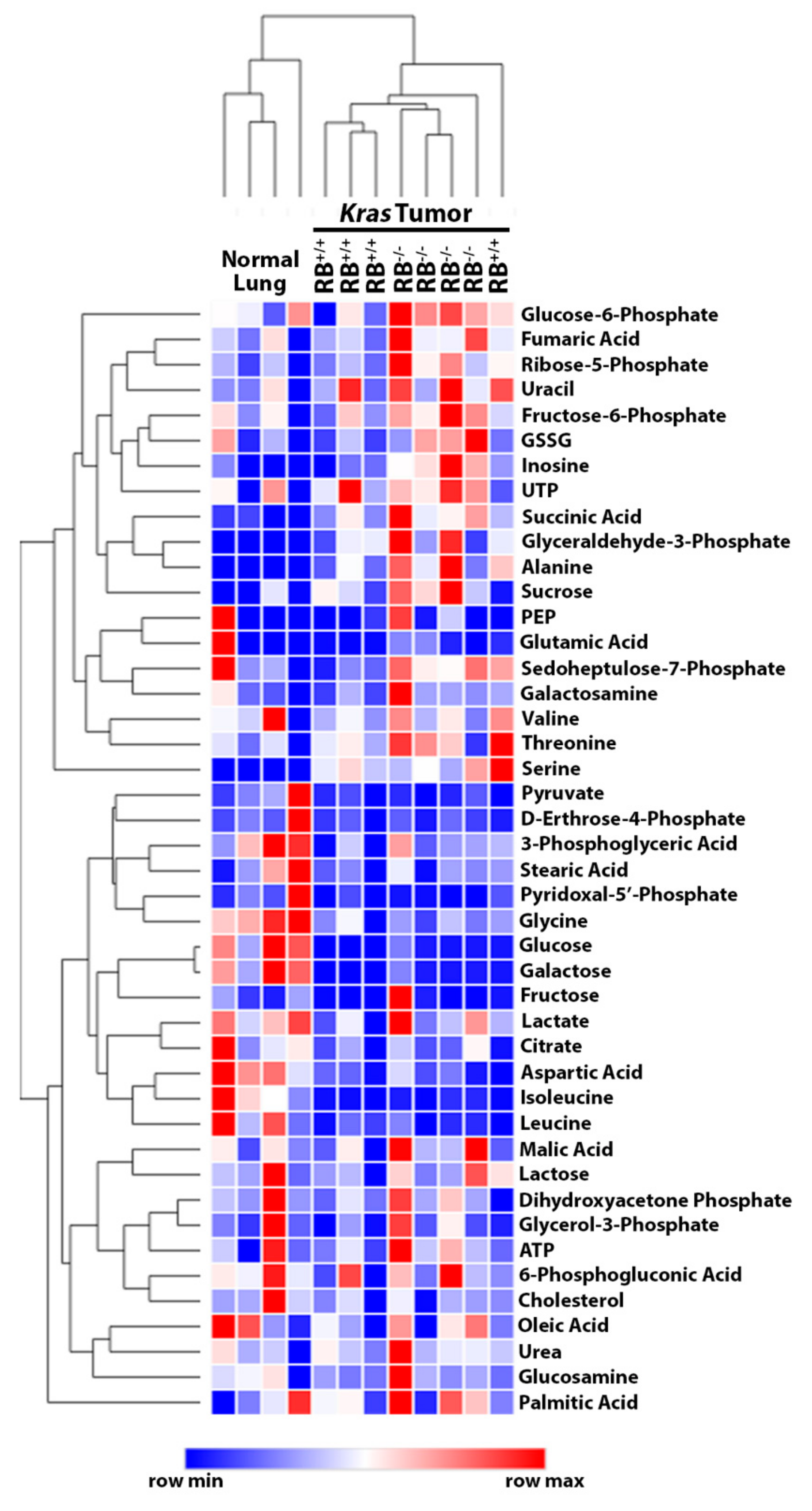 Cancers 12 00237 g002 Cancers 12 00237 g002