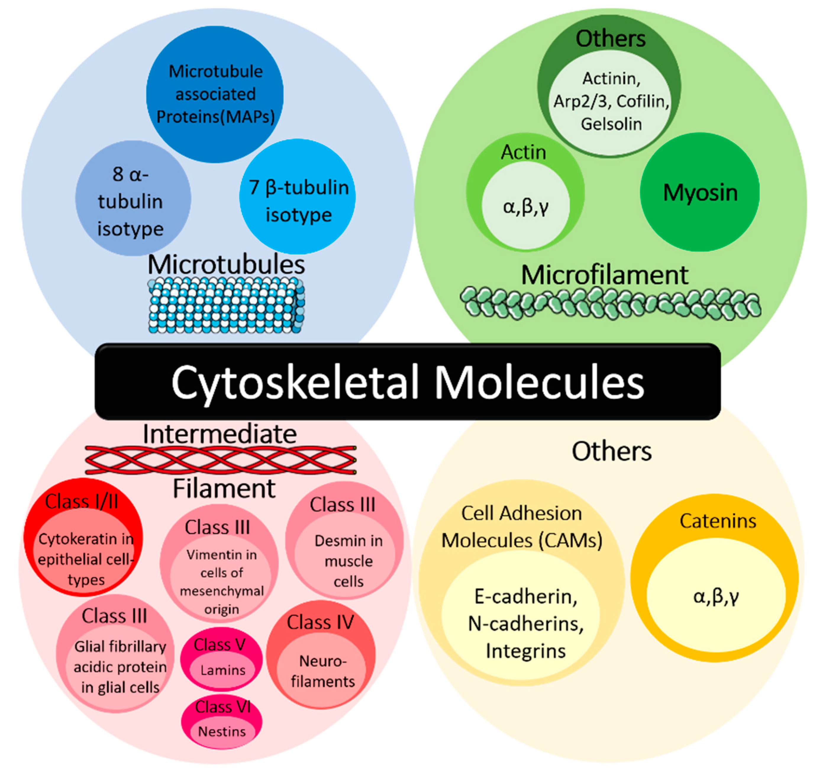 Organizing and Disorganizing Resonances of Microtubules, Stem