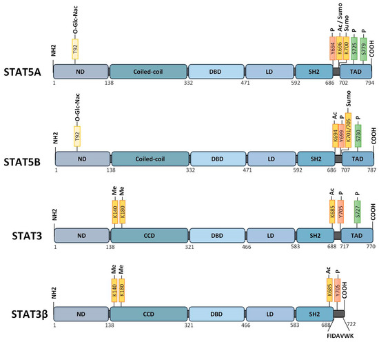 Pharmacological Inhibition of Oncogenic STAT3 and STAT5