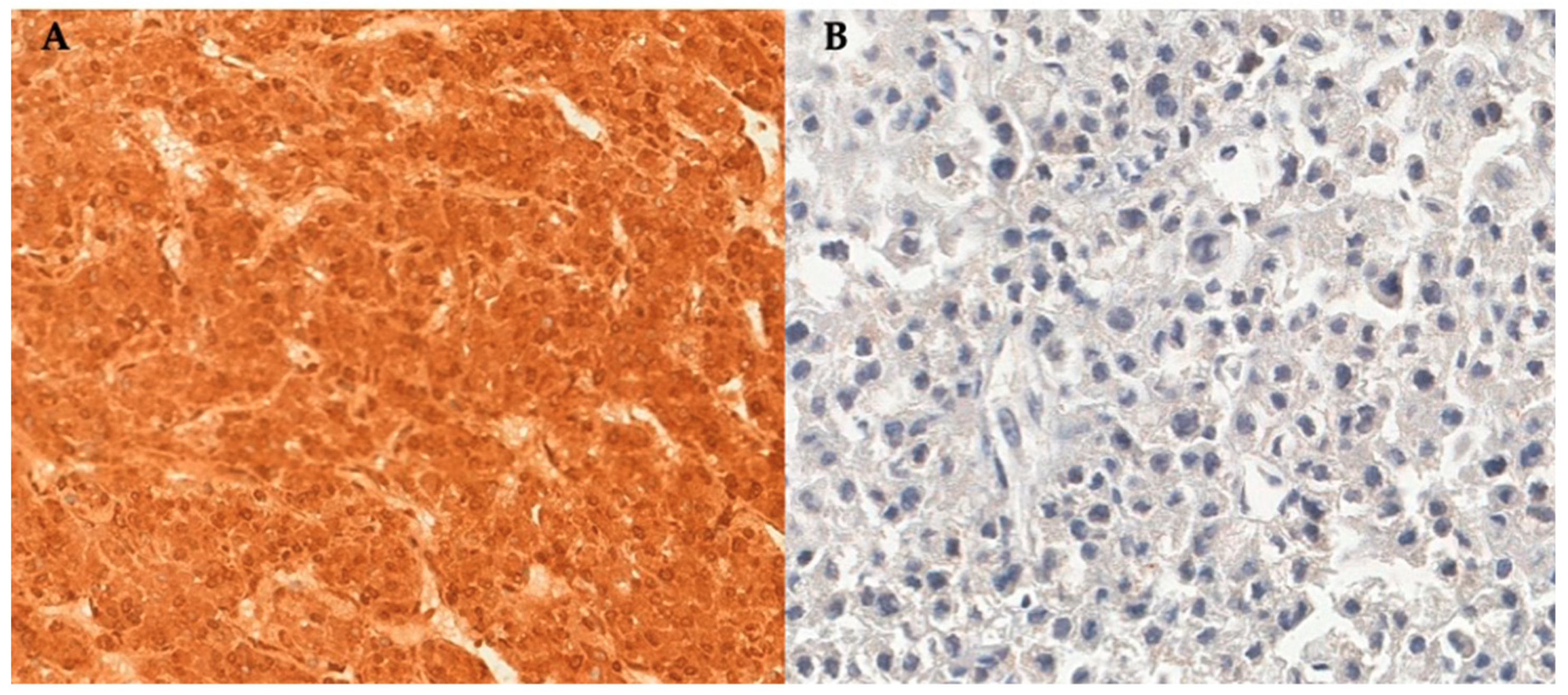 Cancers 12 00247 g001 Cancers 12 00247 g001