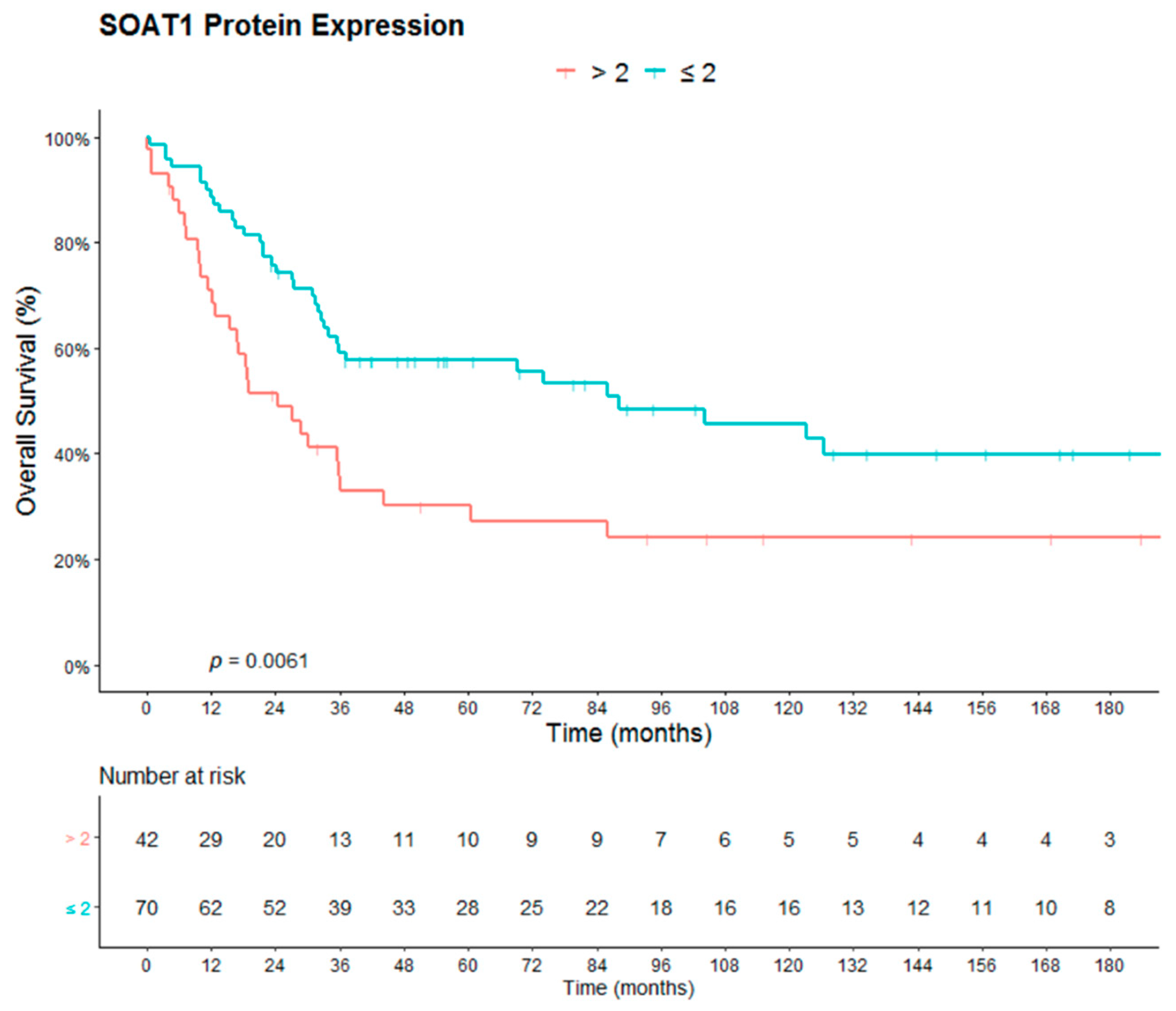 Cancers 12 00247 g002 Cancers 12 00247 g002