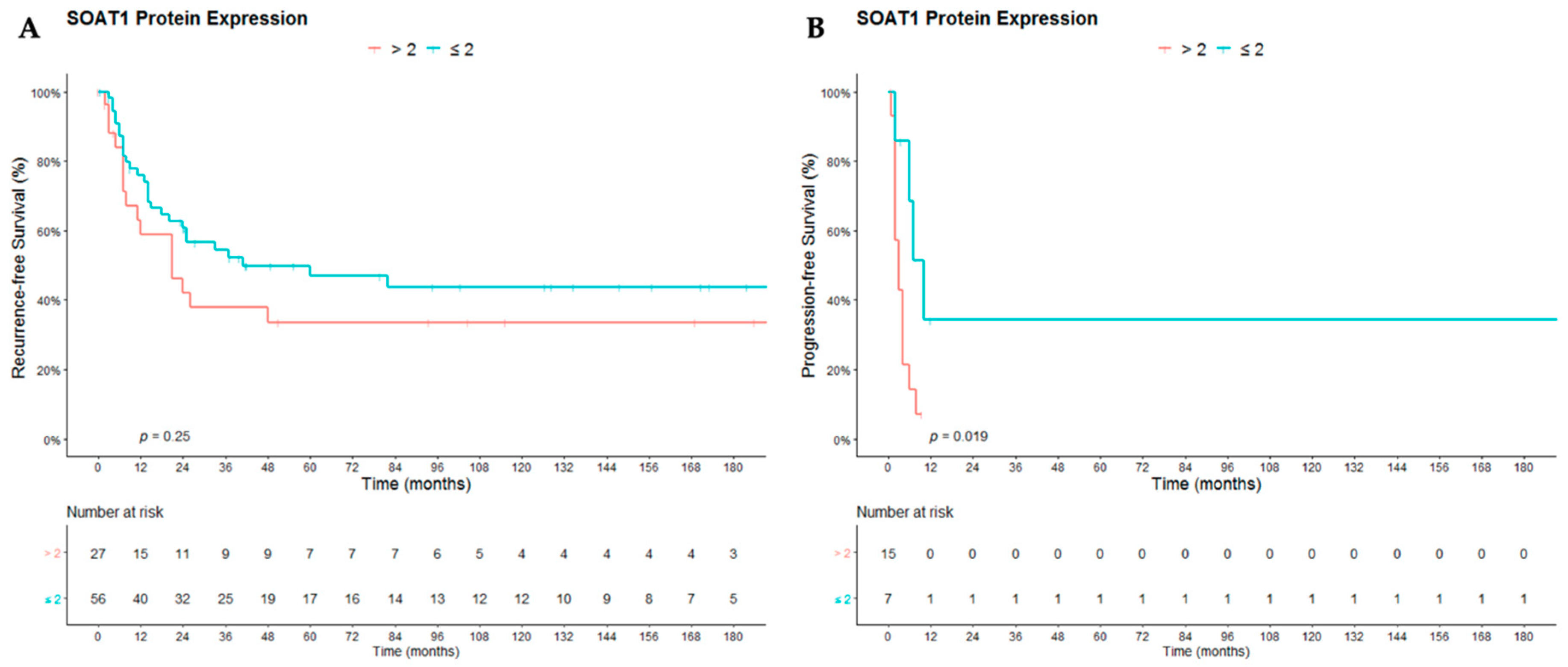 Cancers 12 00247 g003 Cancers 12 00247 g003
