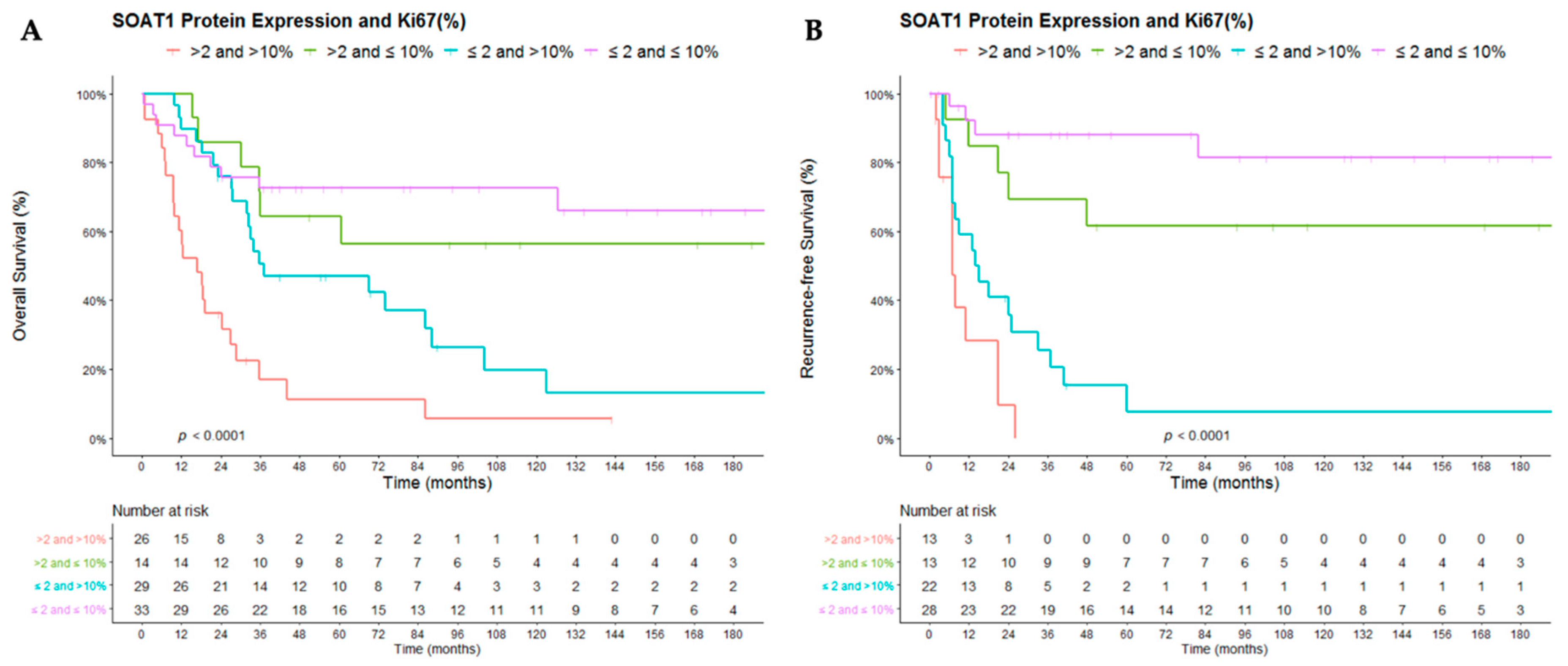 Cancers 12 00247 g004 Cancers 12 00247 g004