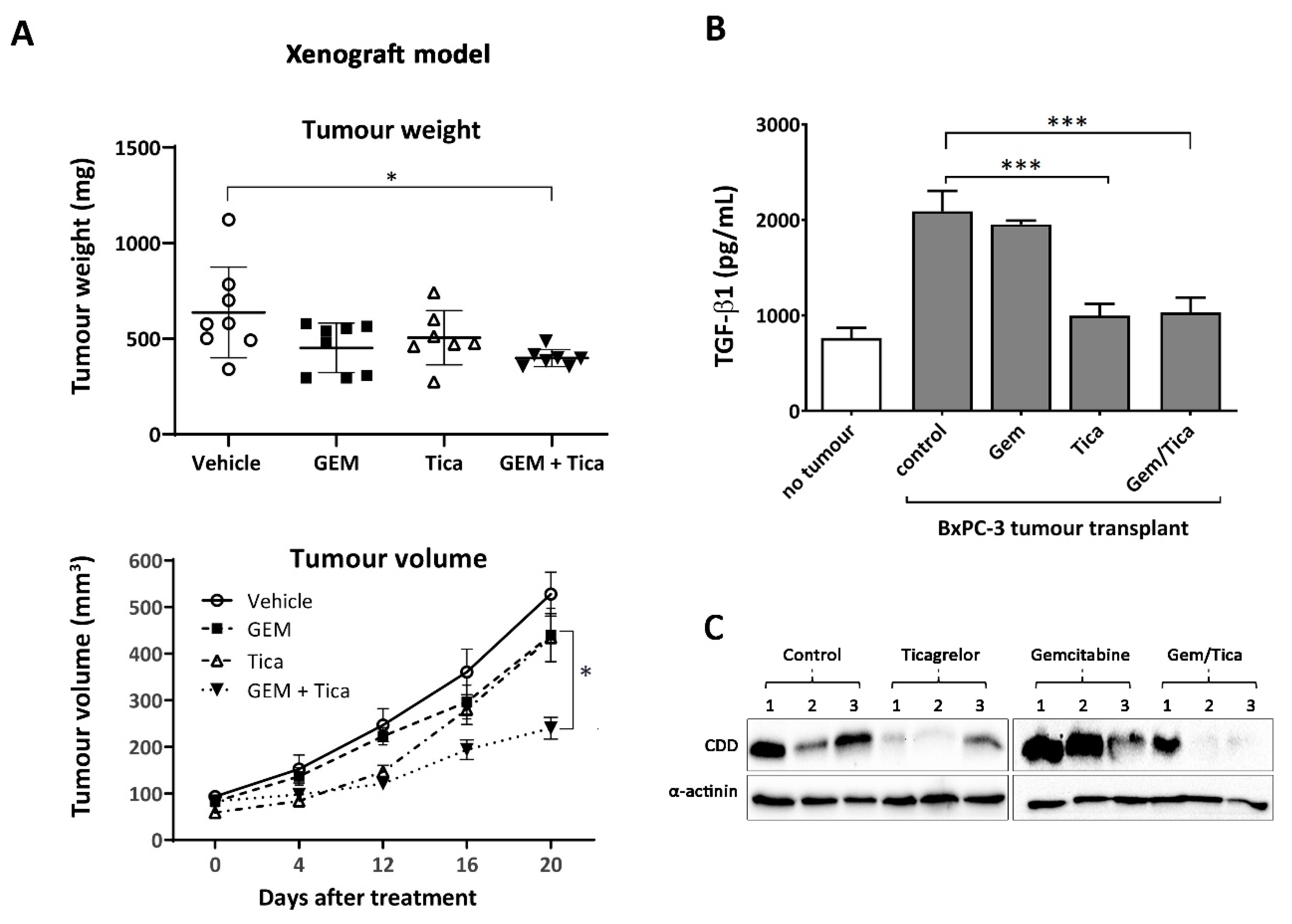 Cancers 12 00250 g006