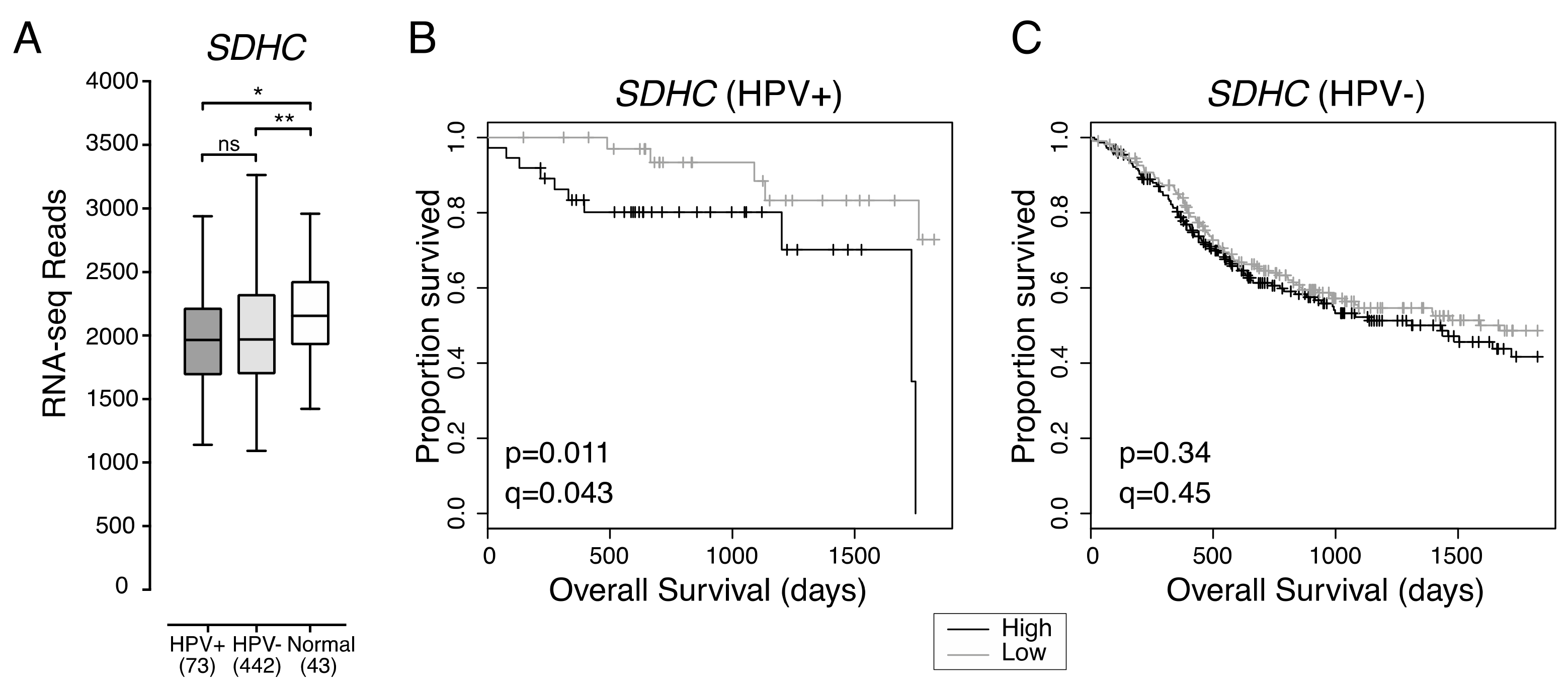 Cancers 12 00253 g002 Cancers 12 00253 g002