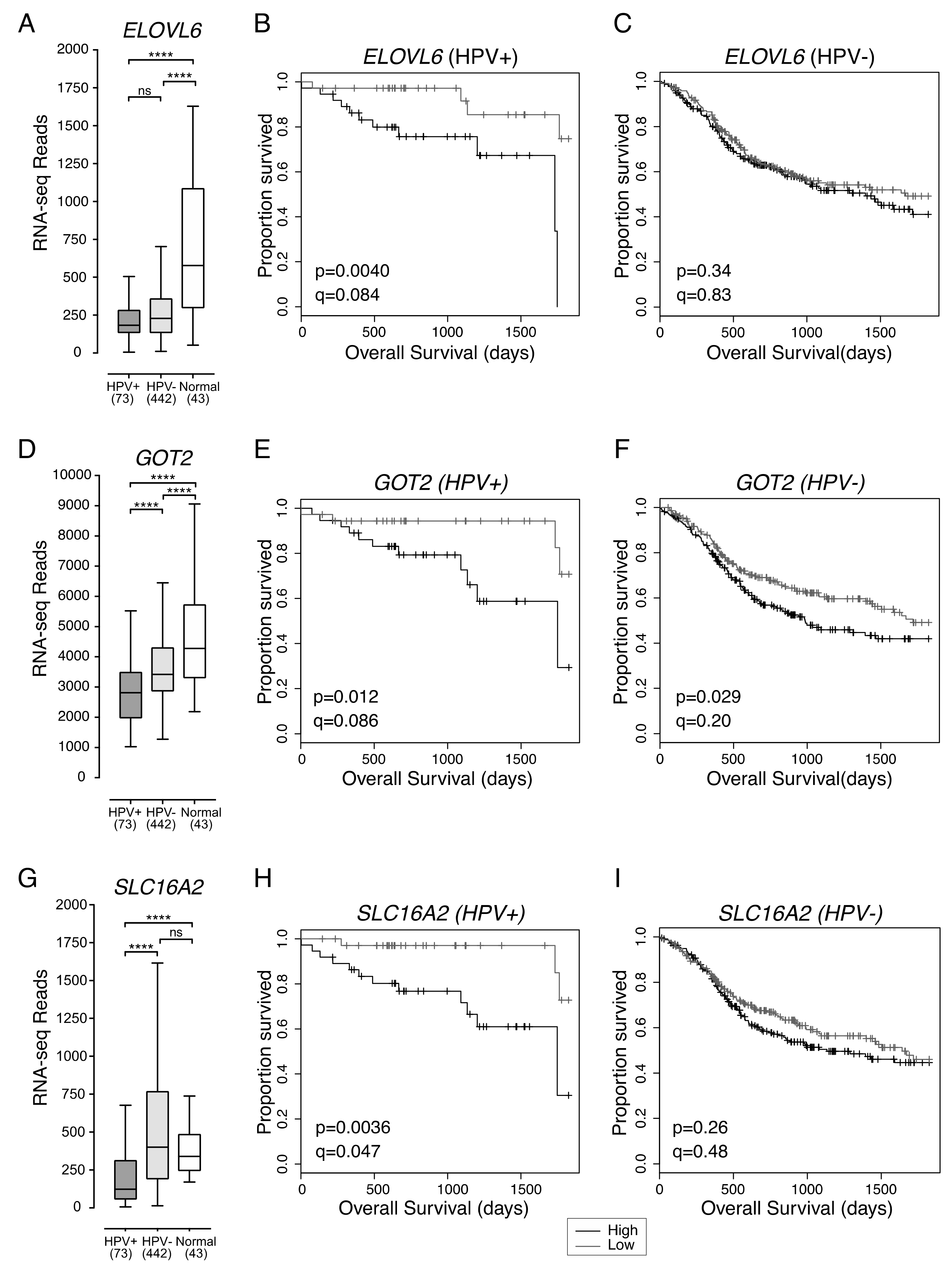 Cancers 12 00253 g004 Cancers 12 00253 g004