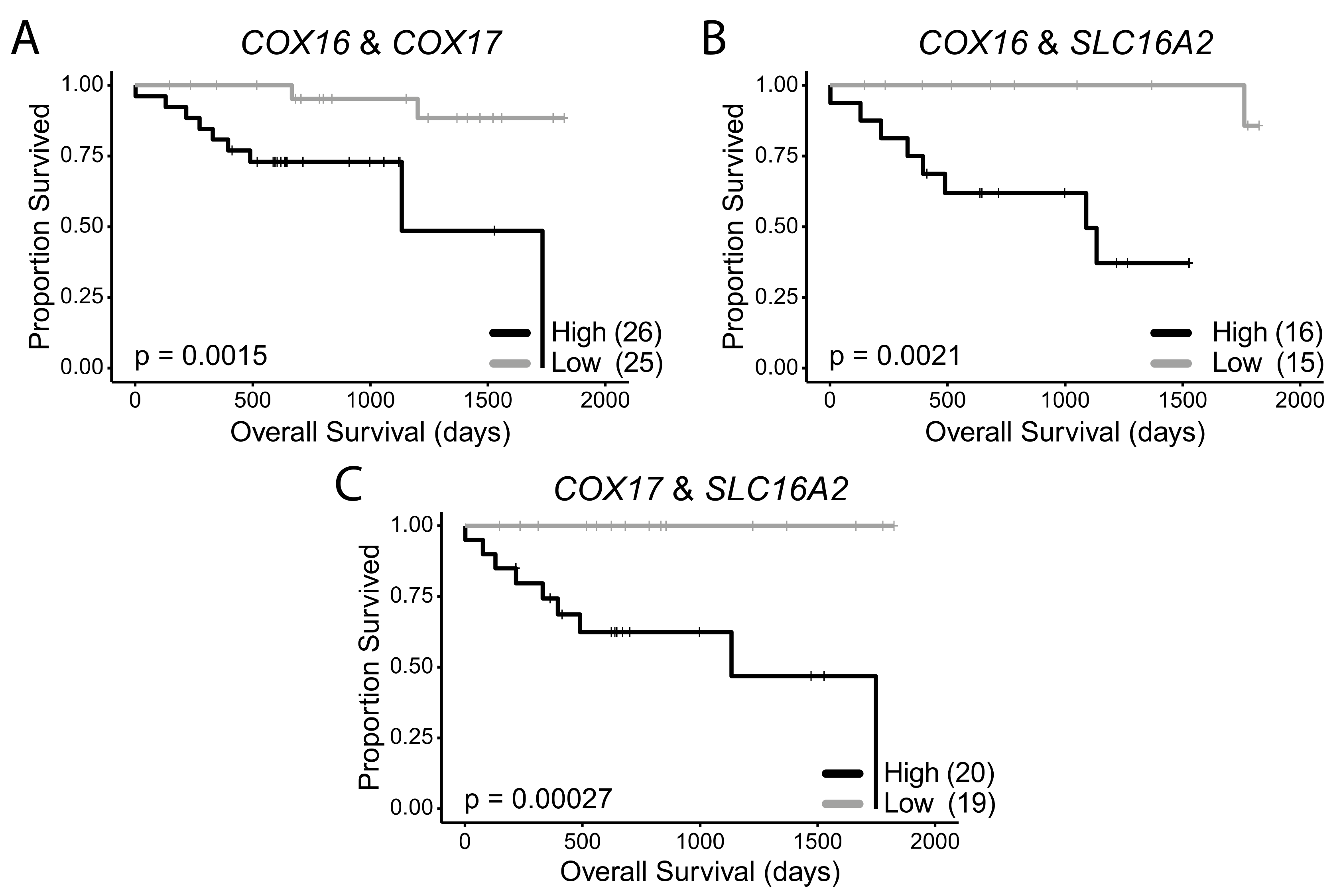 Cancers 12 00253 g005 Cancers 12 00253 g005