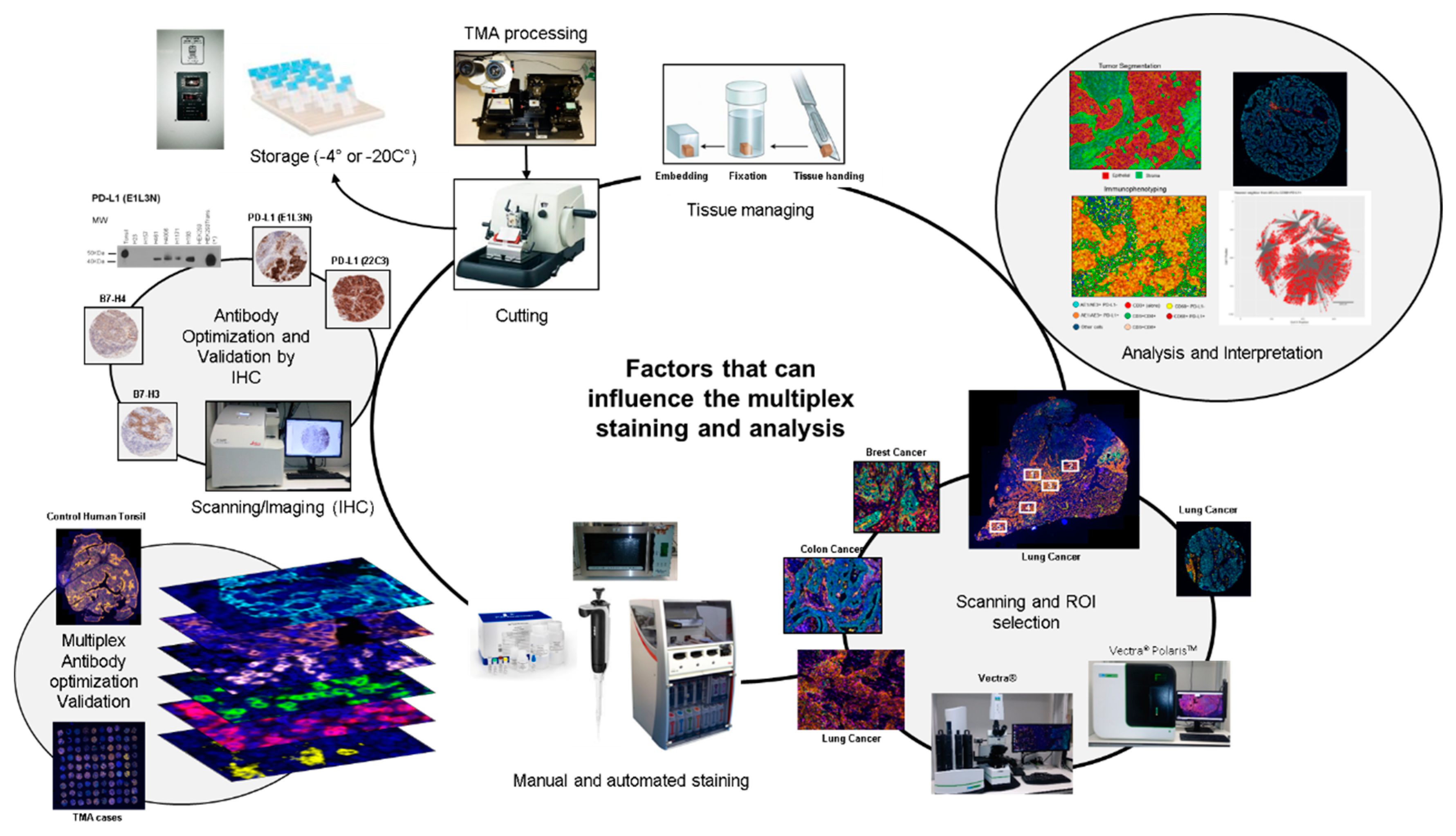 Cancers 12 00255 g001 Cancers 12 00255 g001