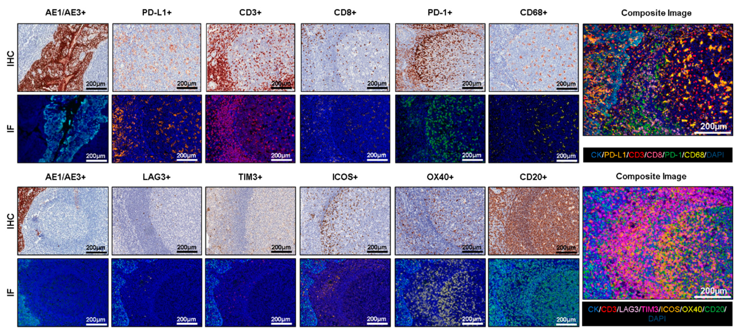 Cancers 12 00255 g002 Cancers 12 00255 g002