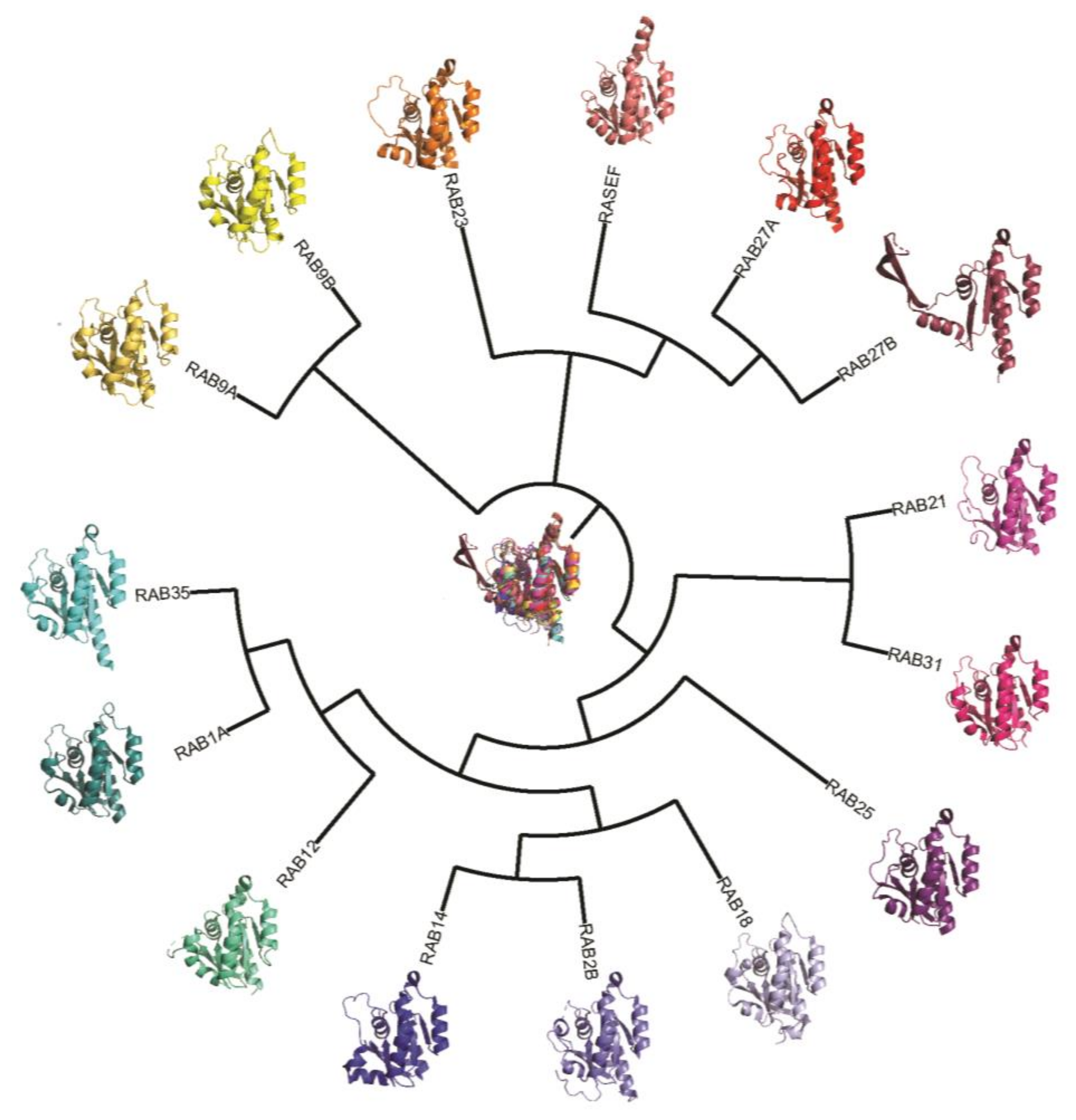 Cancers 12 00259 g003 Cancers 12 00259 g003