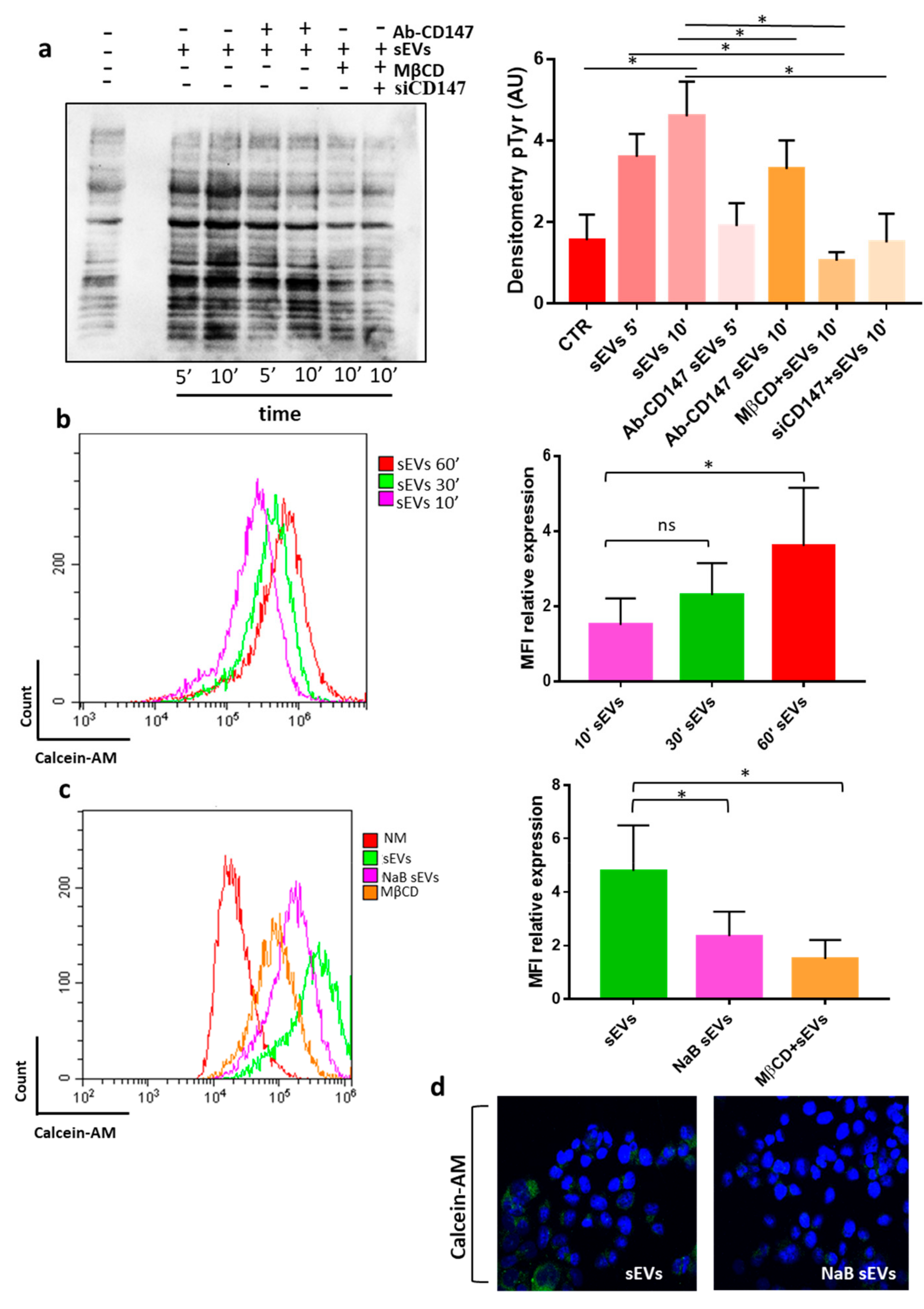 Cancers 12 00260 g008 Cancers 12 00260 g008