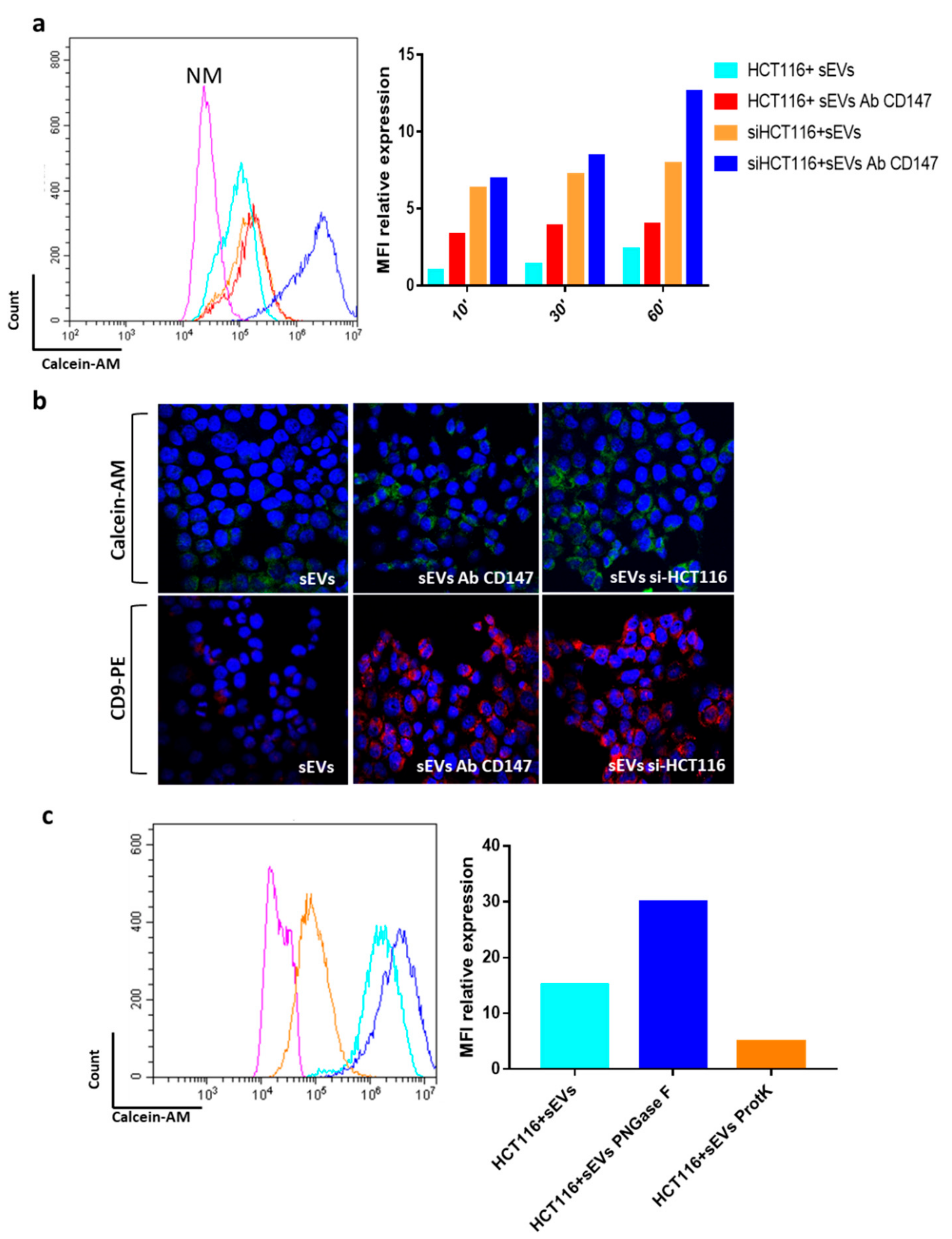 Cancers 12 00260 g009 Cancers 12 00260 g009