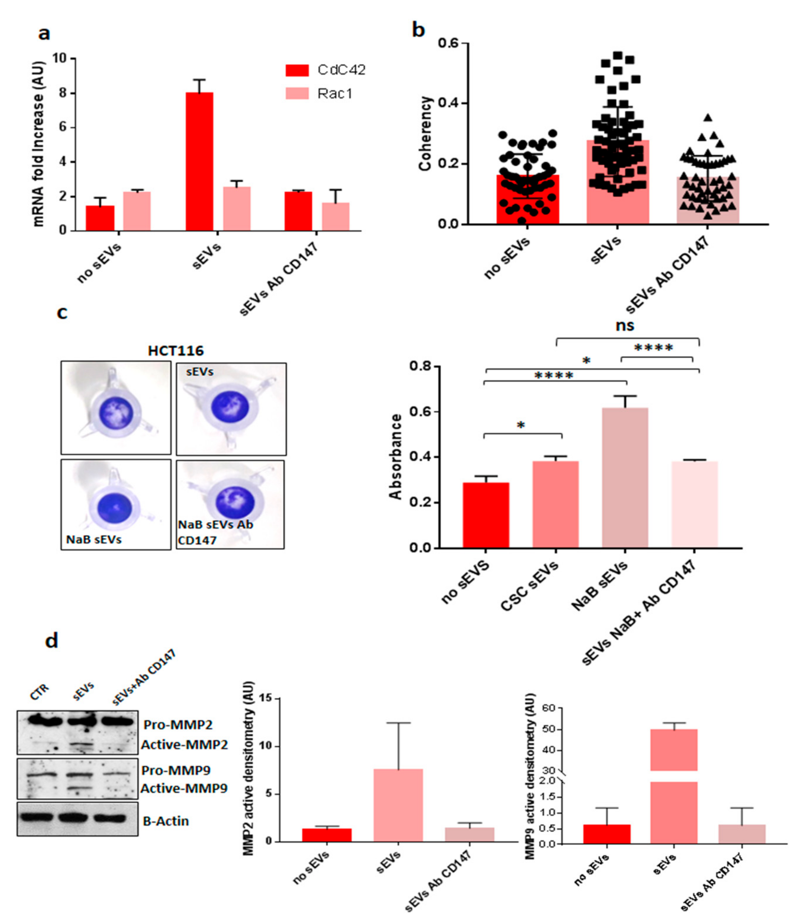 Cancers 12 00260 g010 Cancers 12 00260 g010