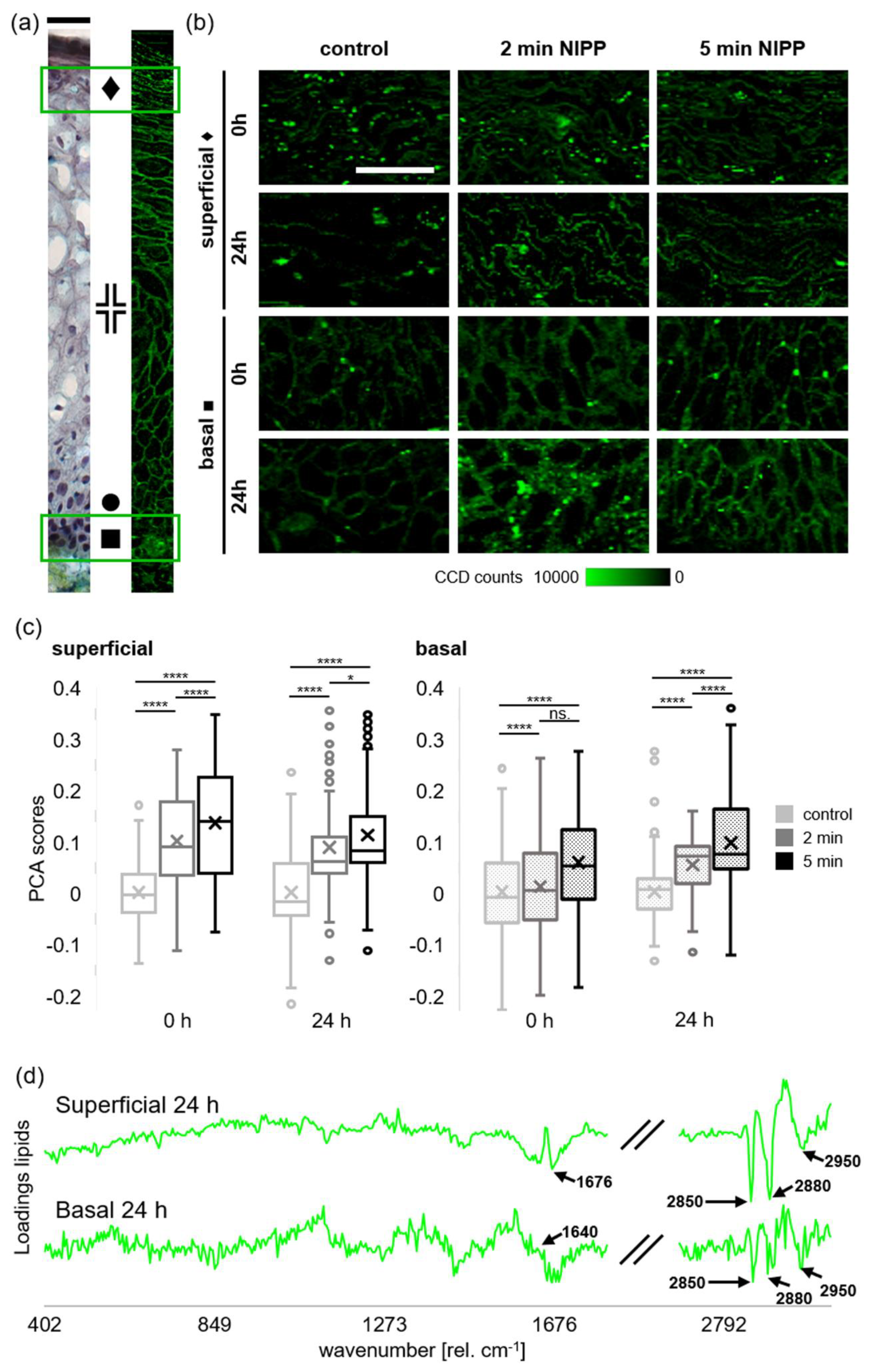 Cancers 12 00267 g005 Cancers 12 00267 g005