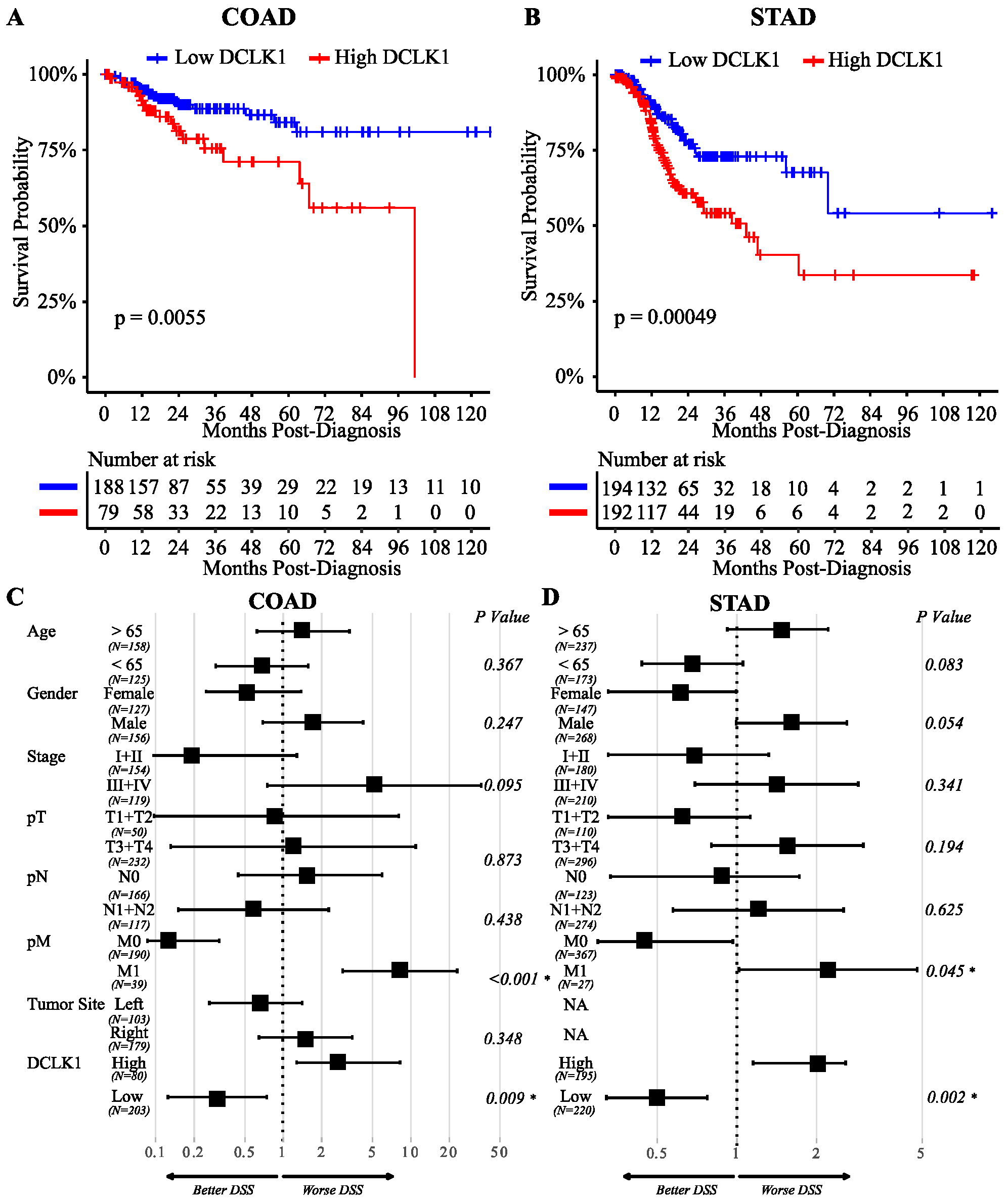 Cancers 12 00274 g001