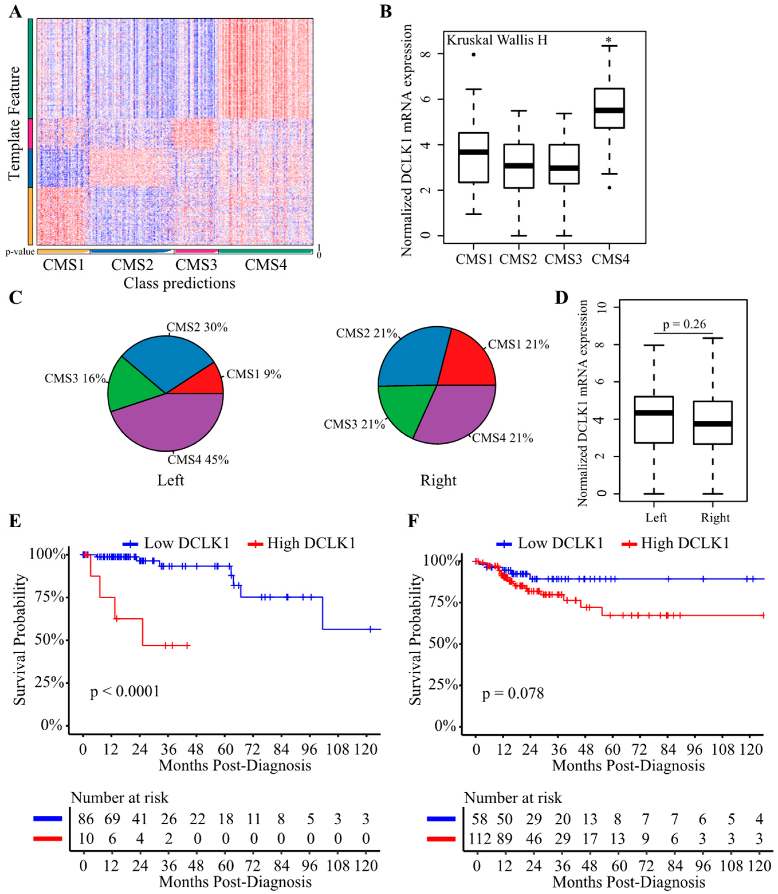 Cancers 12 00274 g007