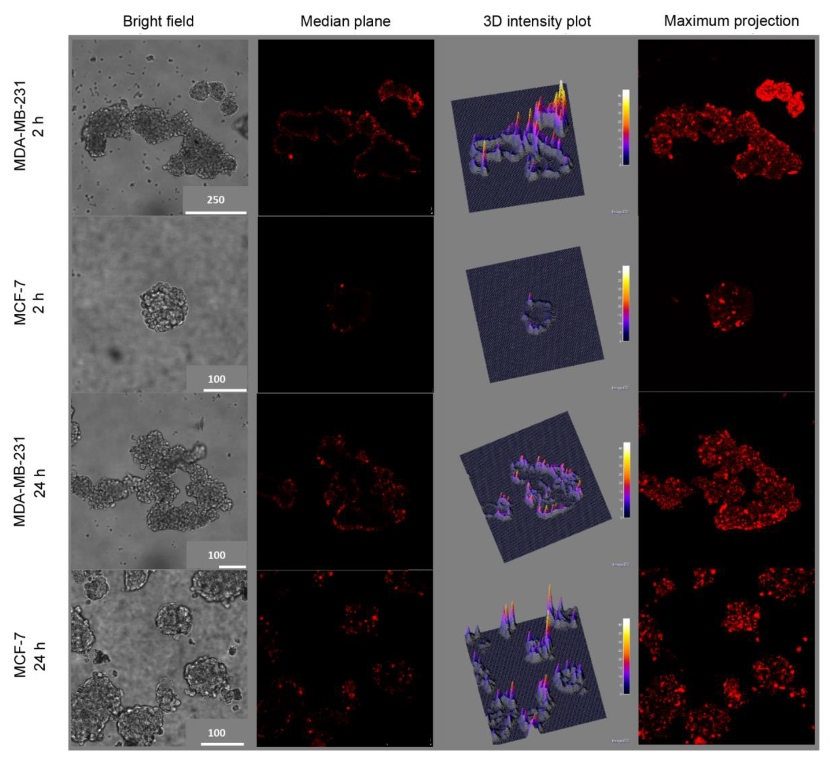 Cancers 12 00278 g005