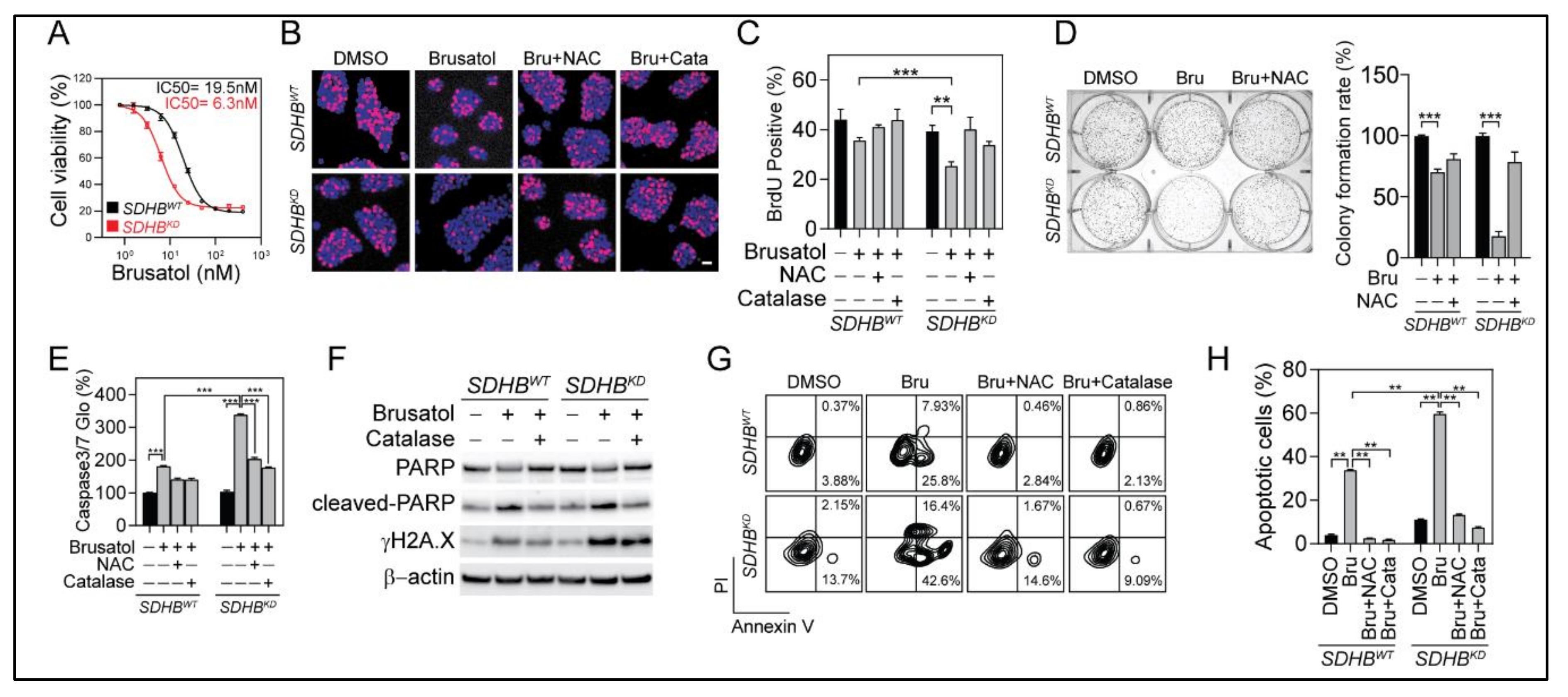 Cancers 12 00280 g006