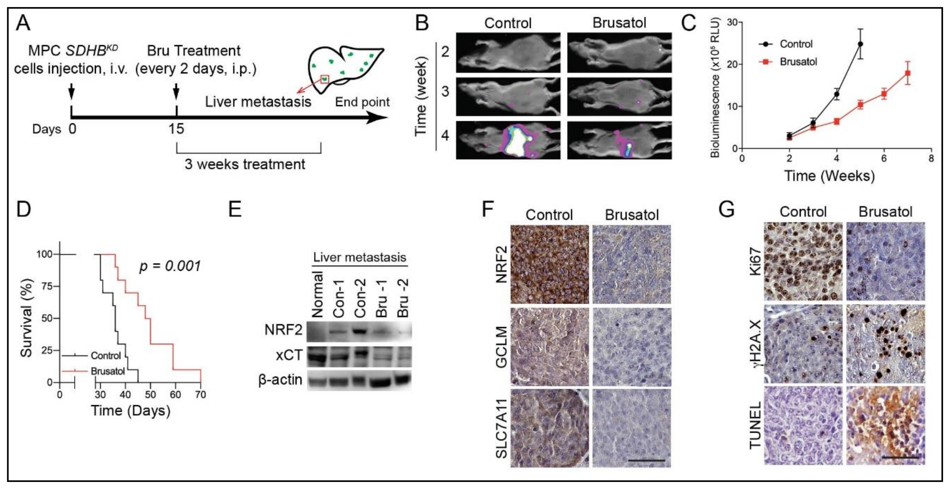 Cancers 12 00280 g007
