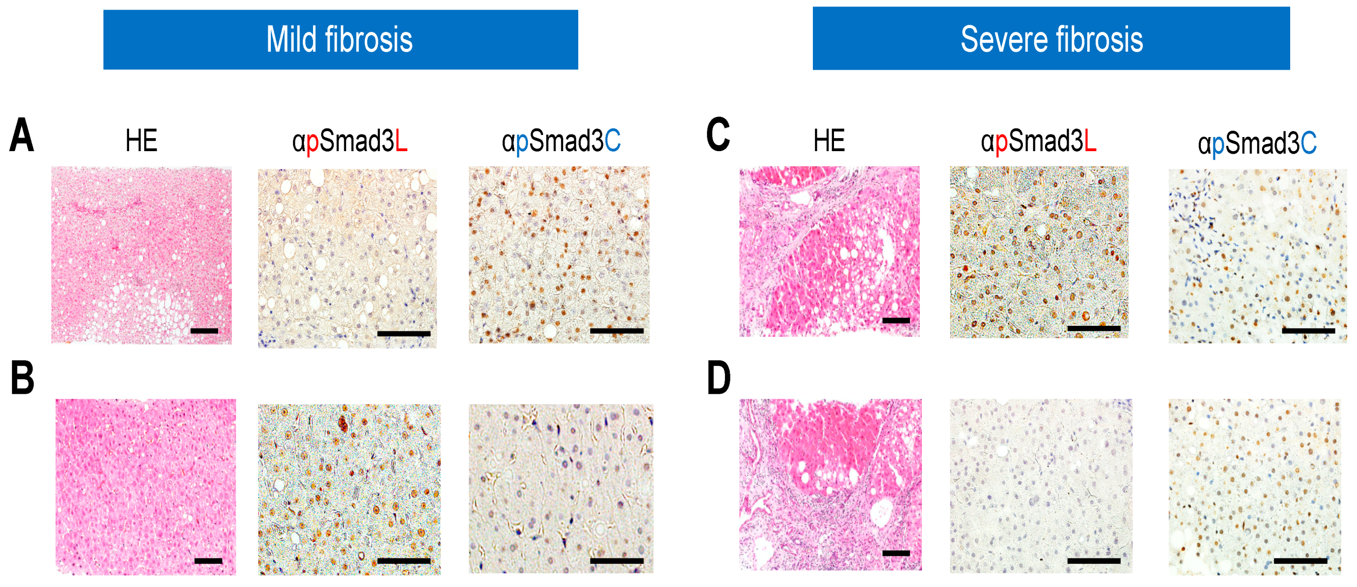 Cancers 12 00286 g002