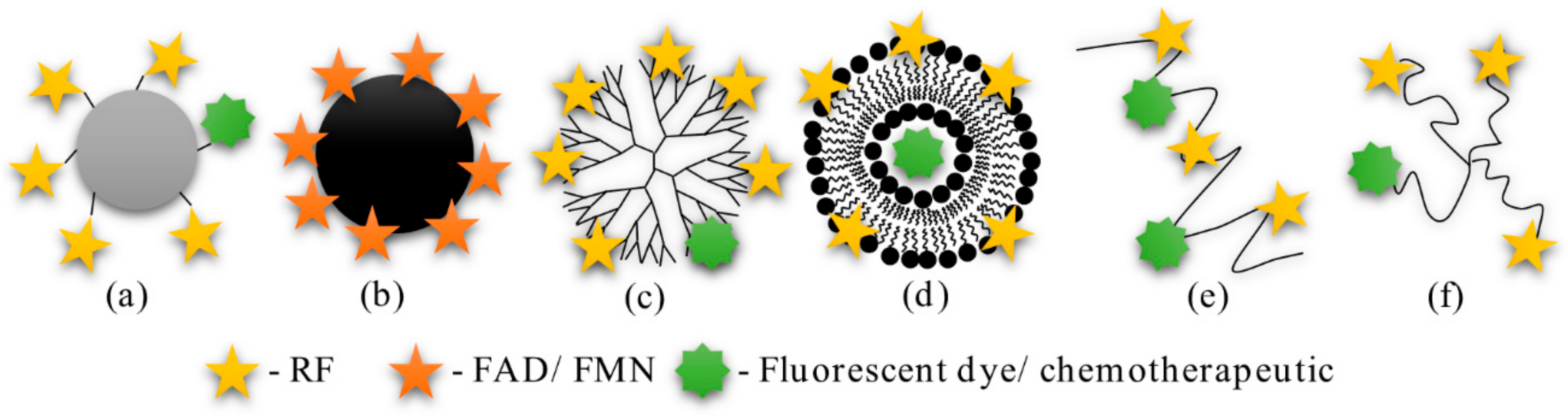 Cancers 12 00295 g003