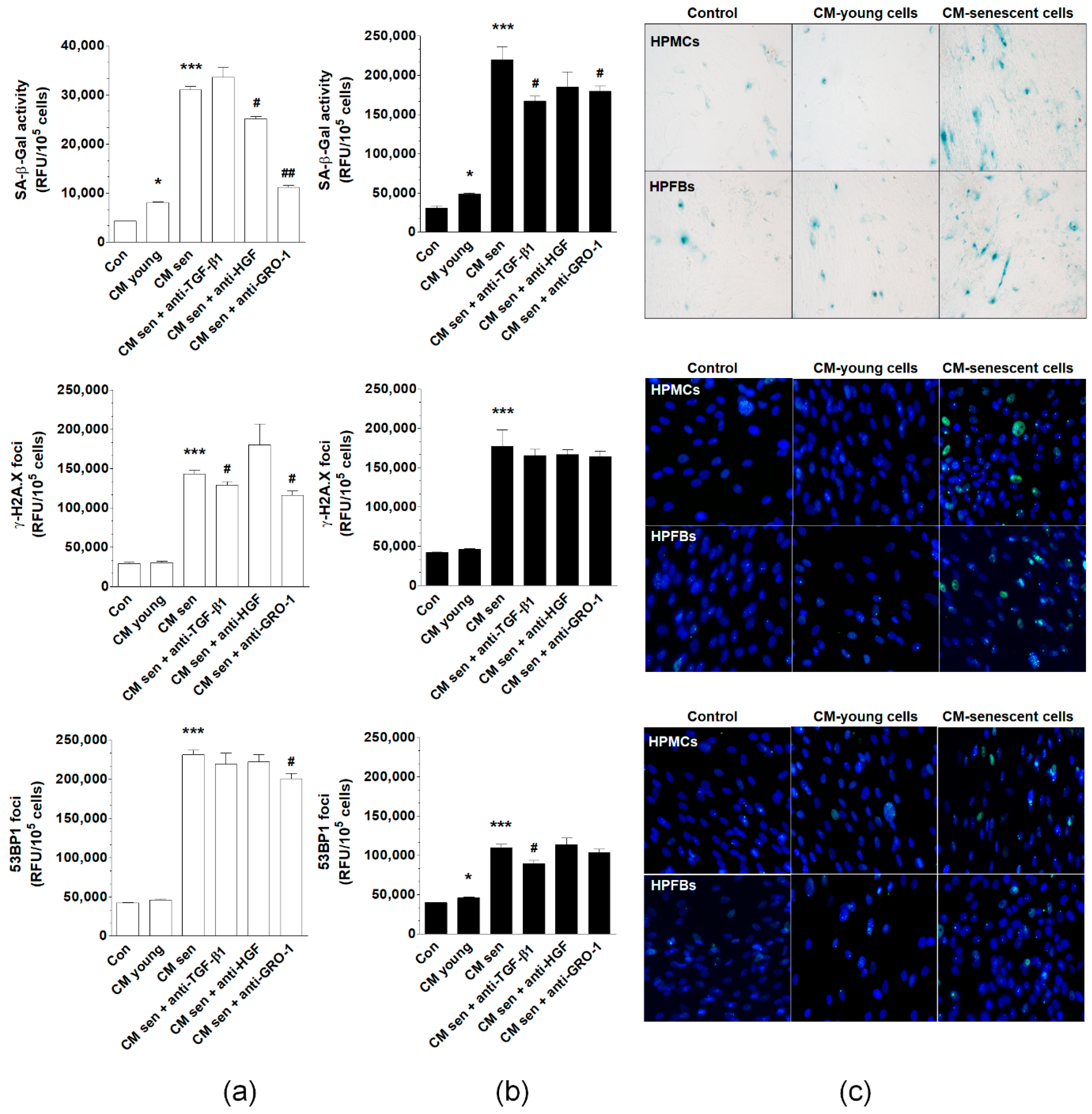Cancers 12 00296 g007 Cancers 12 00296 g007